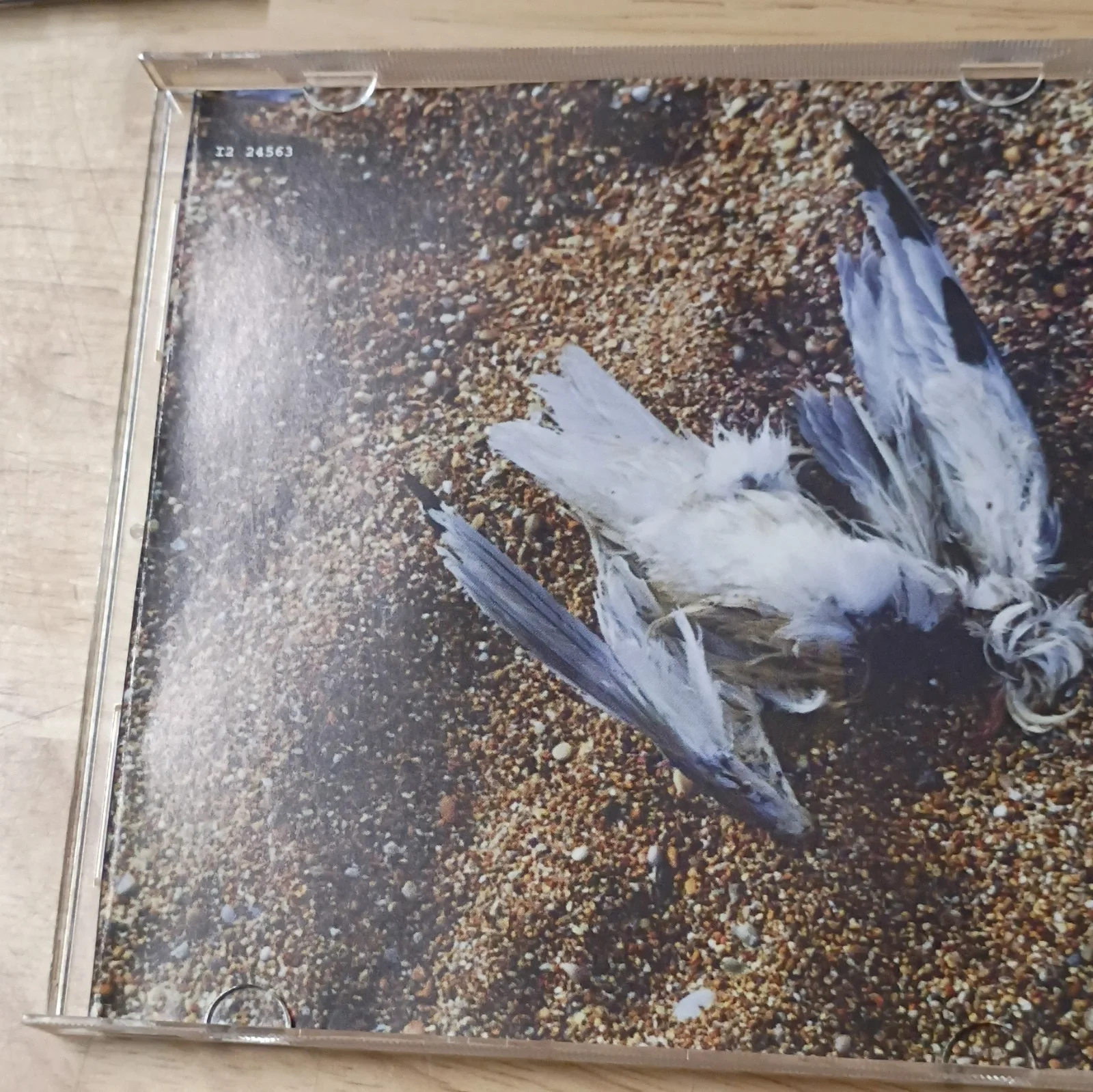PJ Harvey Is This Desire? Signed Autographed CD & Booklet Music Jewel Case, image 4