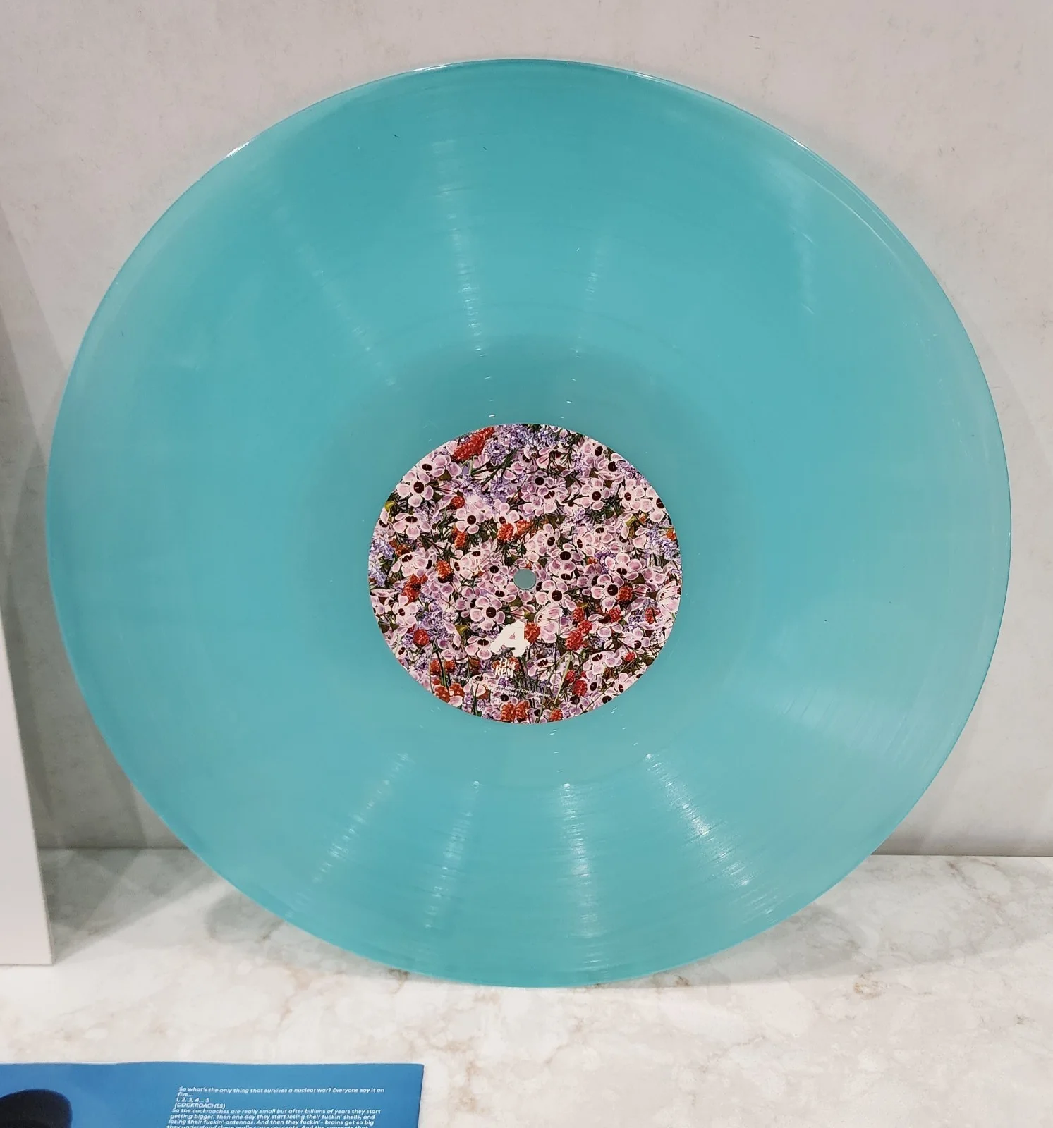 HOBO JOHNSON THE FALL OF VINYL LP record BLUE URBAN OUTFITTERS LP VERY GOOD, изображение 4