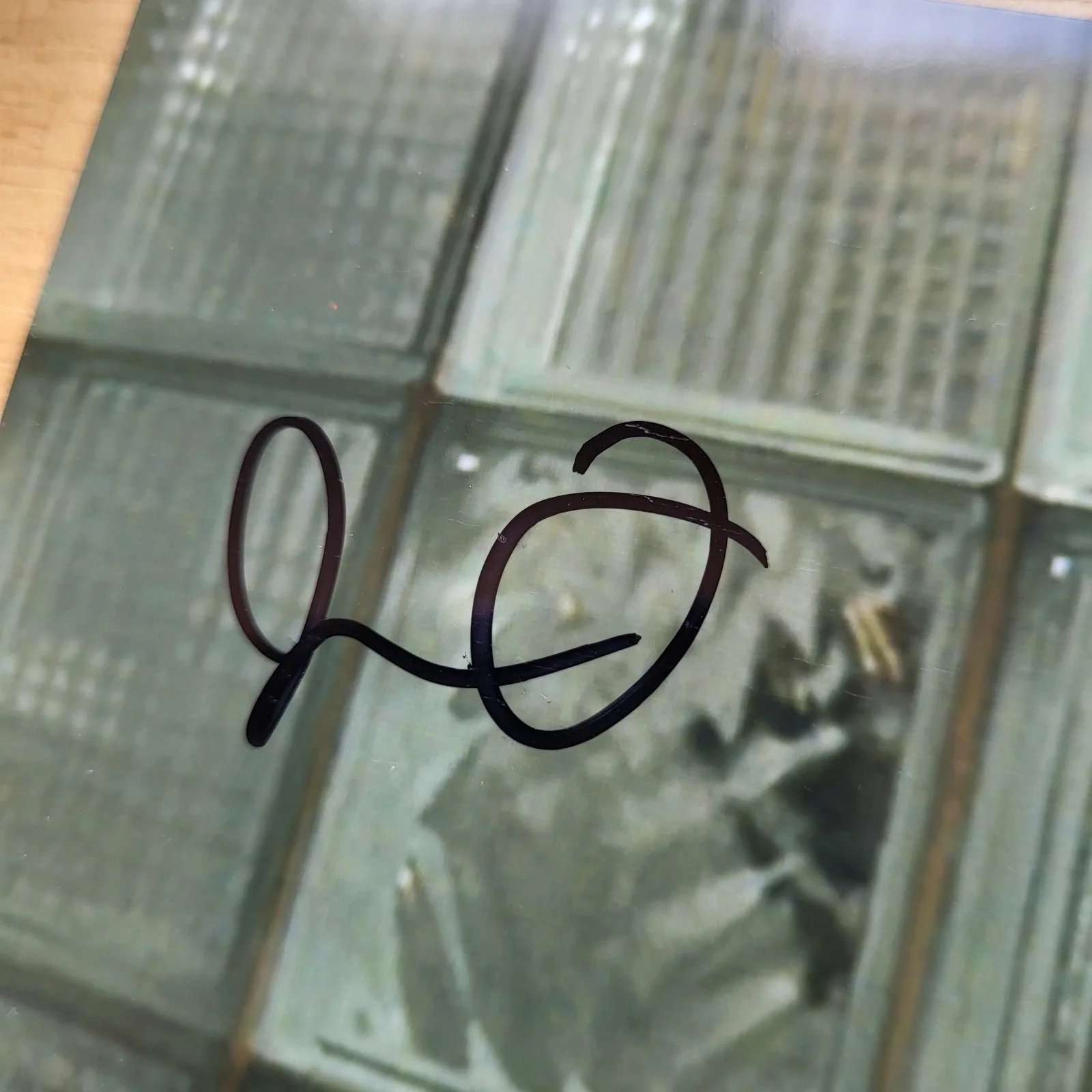 John Ortiz — John Ortiz American Gangster Hand Signed 4x6 Autograph, image 2