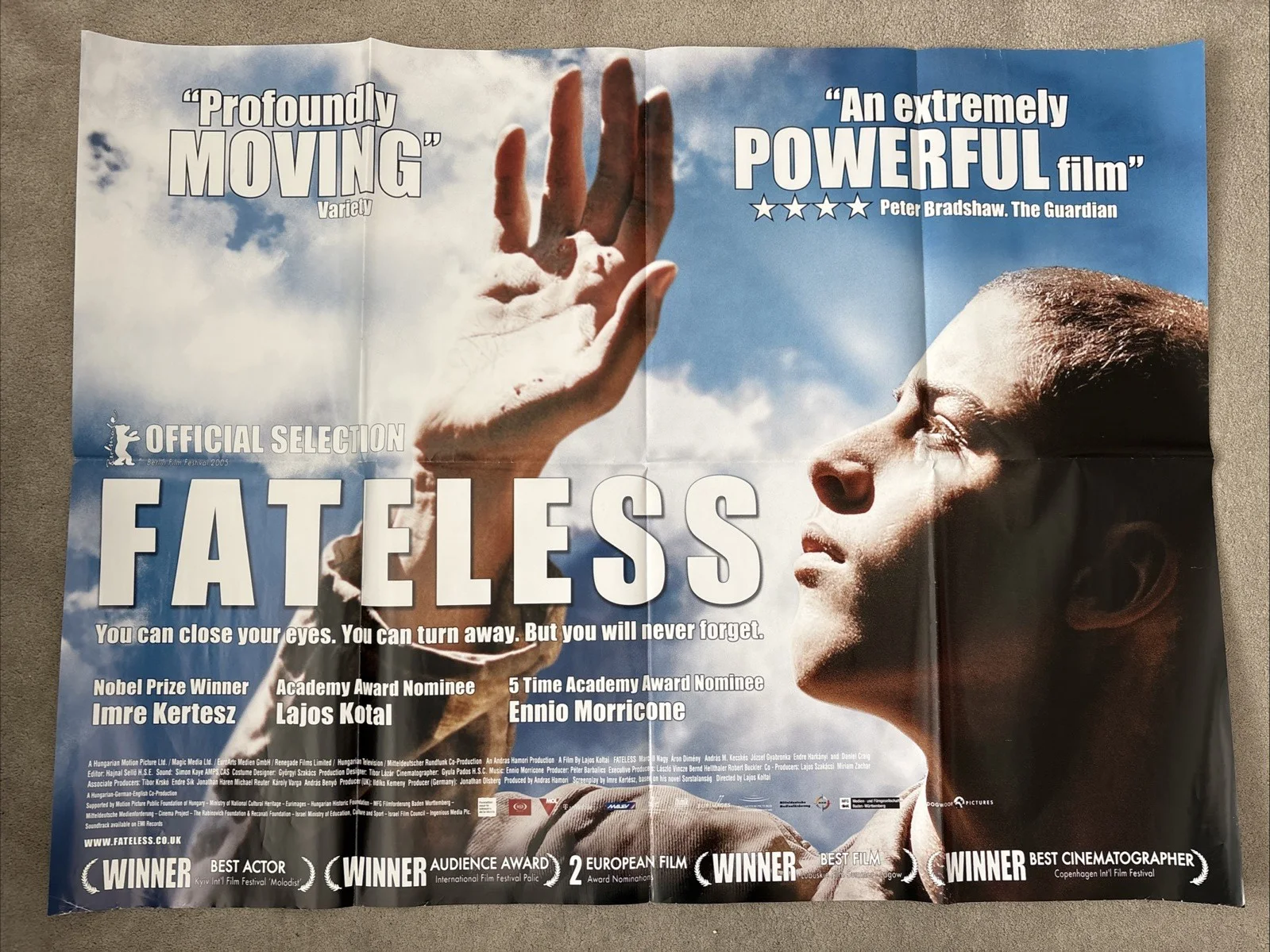 Original UK Quad Poster Bundle x 10 (World Cinema) - Job Lot - Bundle 3, изображение 3