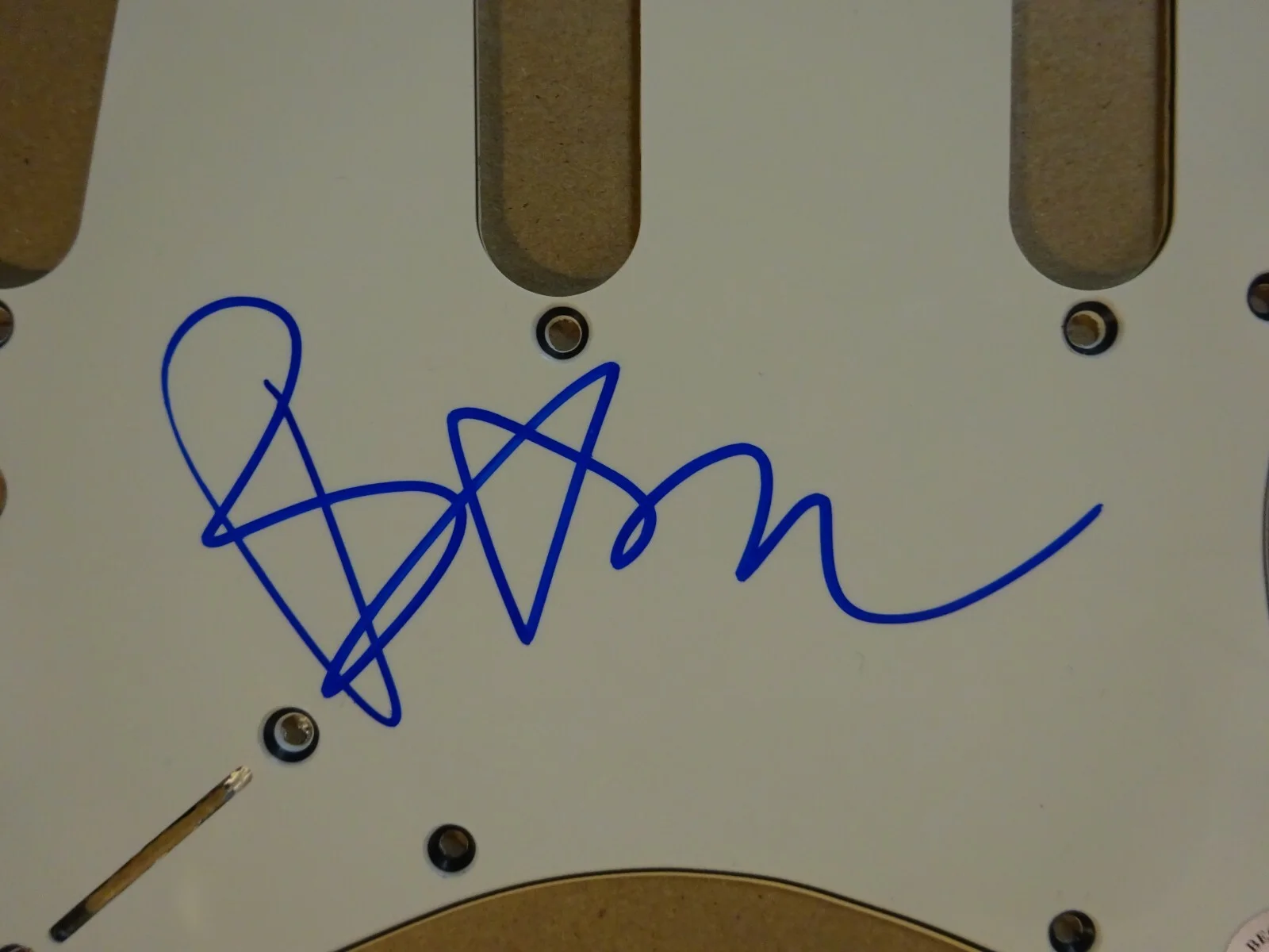 Bam Margera — Signed BAM MARGERA Autographed Guitar Pick Guard Beckett BAS COA, image 4