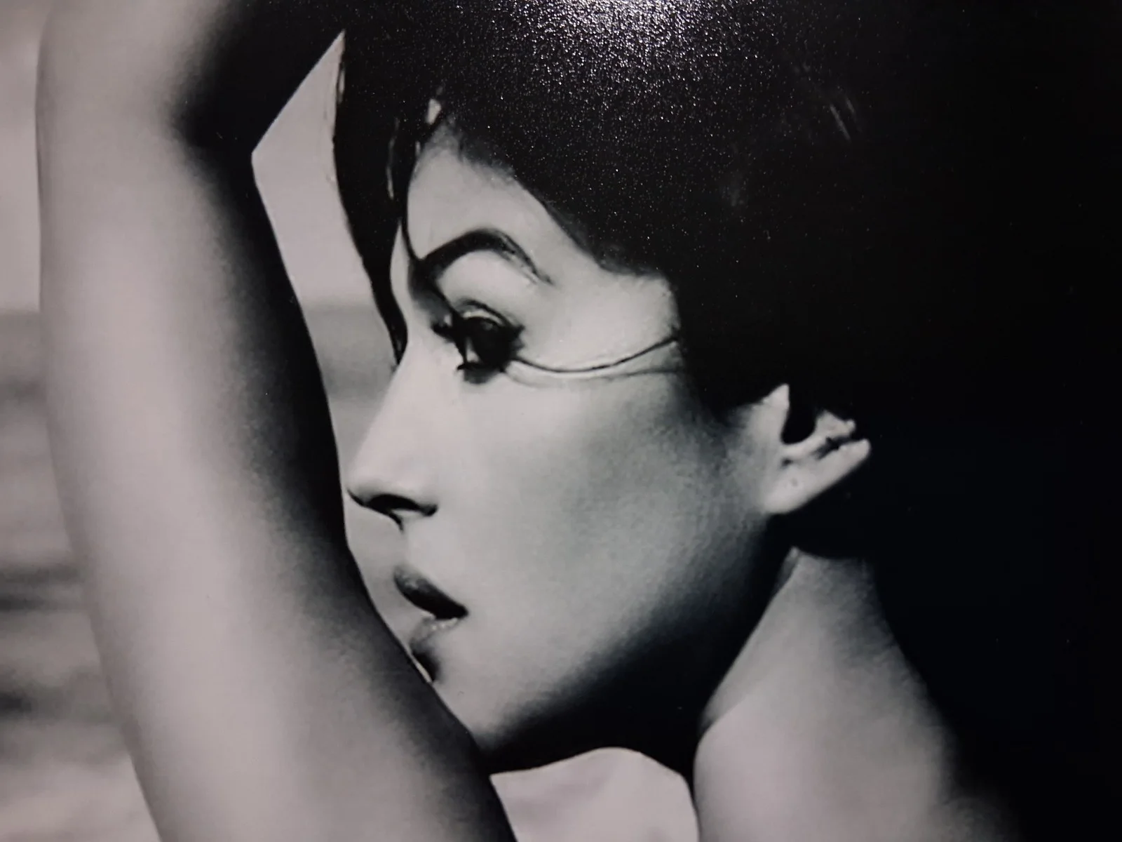 Monica Bellucci — Monica Bellucci signed b&w photo 7 3/4"x9 3/4" Matrix, Bram Stoker's Dracula, image 4