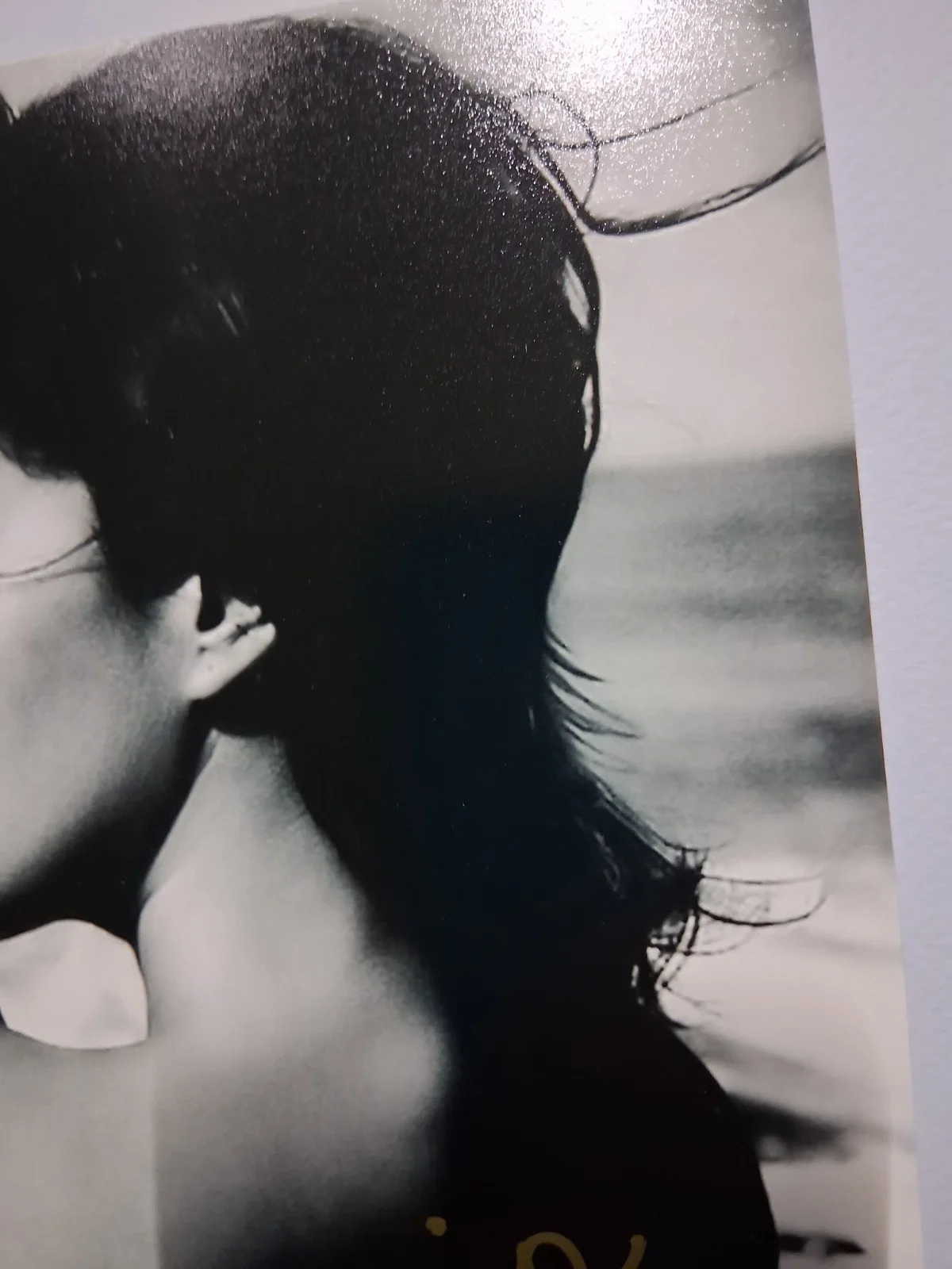Monica Bellucci — Monica Bellucci signed b&w photo 7 3/4"x9 3/4" Matrix, Bram Stoker's Dracula, image 5