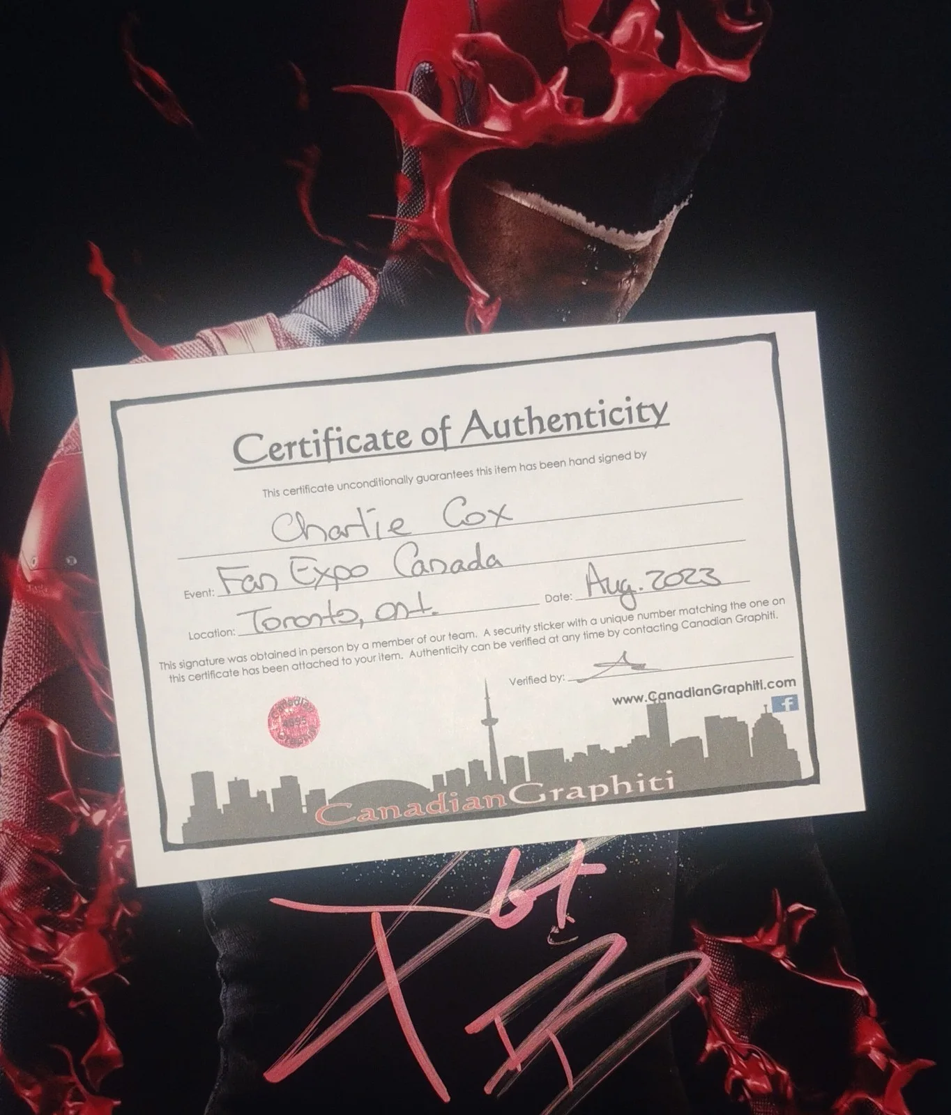 Charlie Cox Hand Signed Autograph 11x14 Photo COA Daredevil NO US TARIFFS, image 4