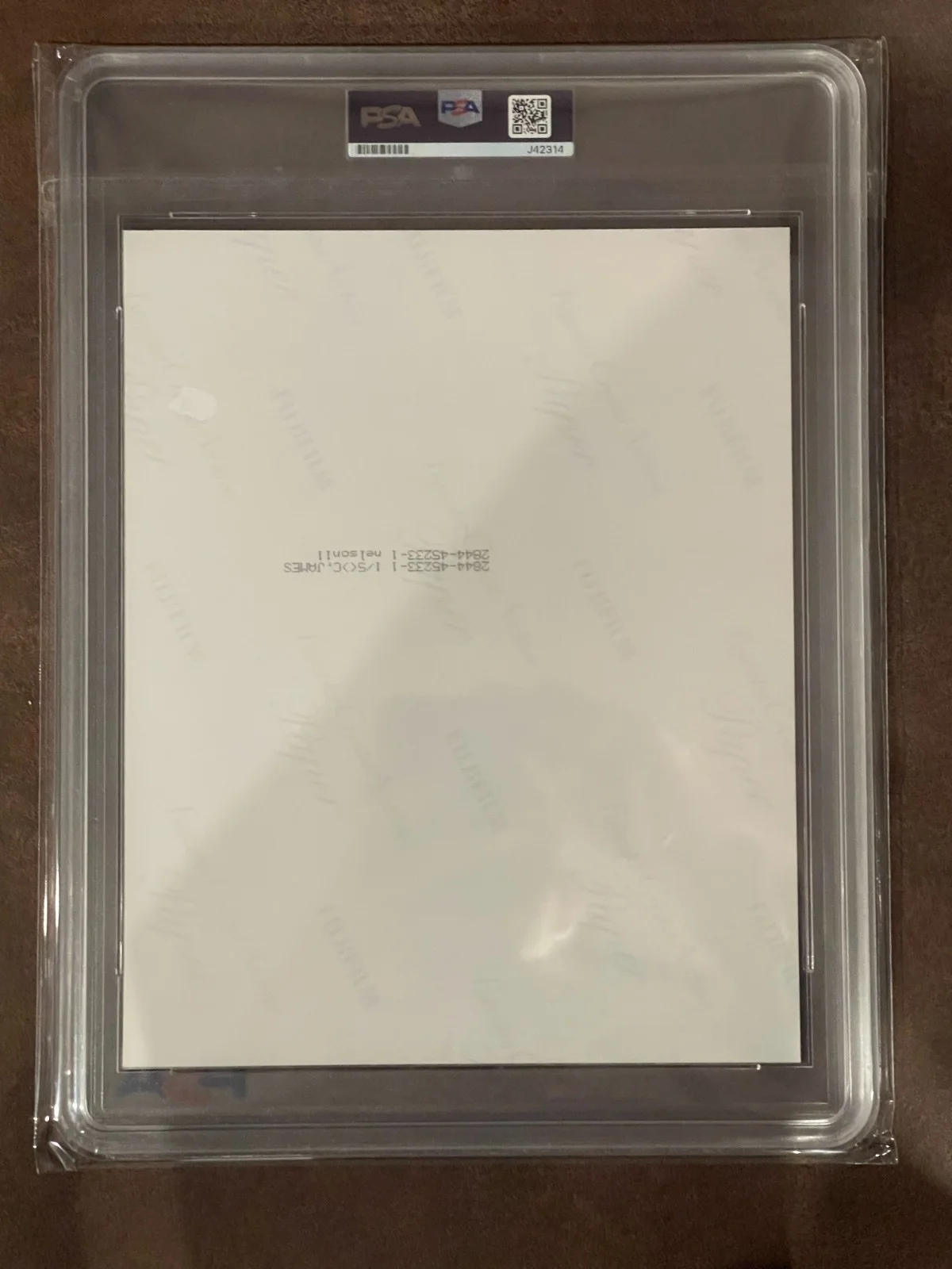 WILLIE NELSON Young signed 8x10 photo PSA/DNA Slab! GEM MINT 10 RARE auto!, image 3