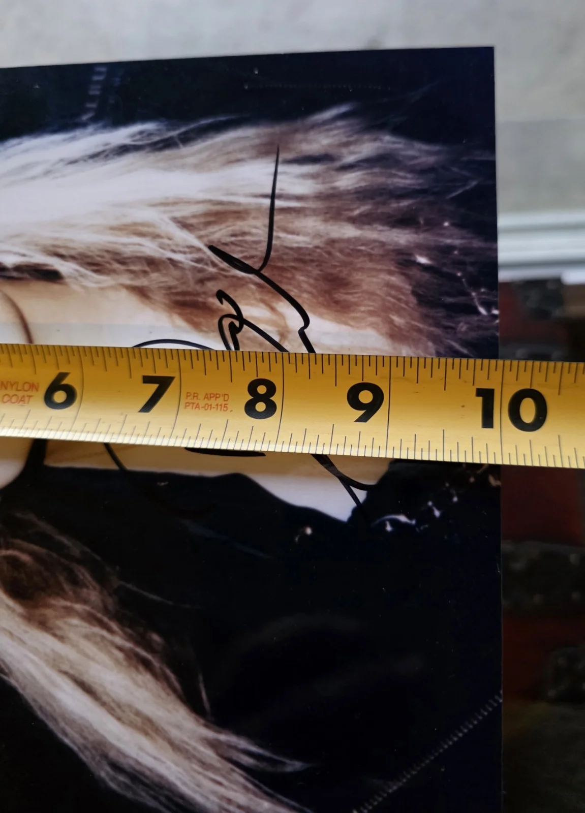 Signed Press Photo German heavy metal vocalist Doro Pesch, изображение 5