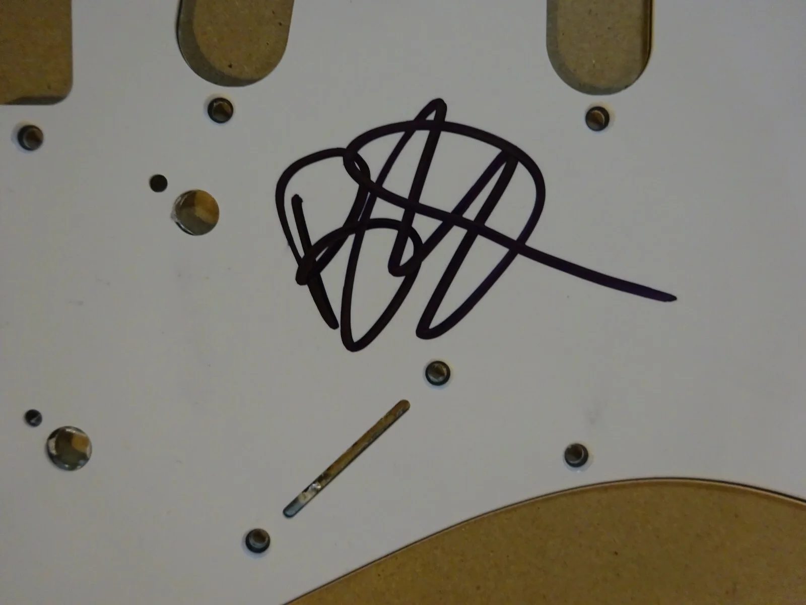 Signed BLU DETIGER Autographed Guitar Pick Guard Tik Tok Personality / Singer, изображение 3