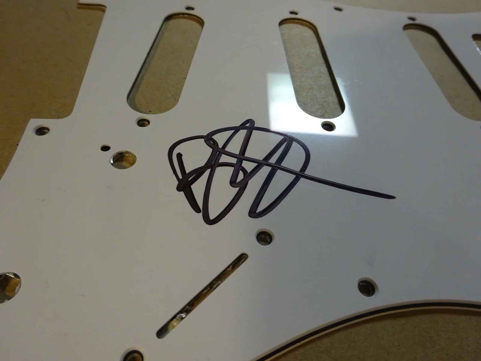 Signed BLU DETIGER Autographed Guitar Pick Guard Tik Tok Personality / Singer, изображение 4