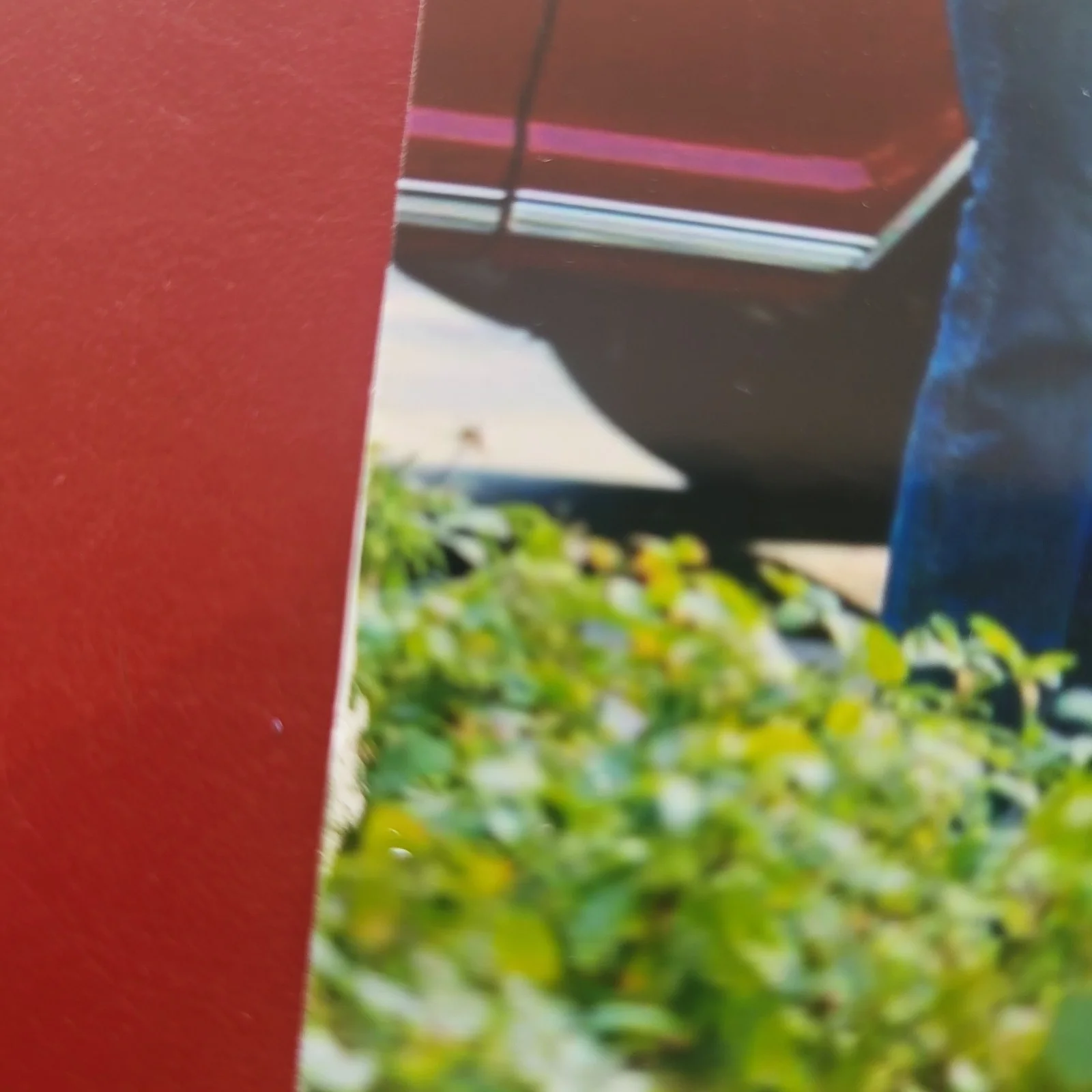 Beau Bridges — Beau Bridges Desperate Housewives Hand Signed 4x6 Autograph Pic, image 3
