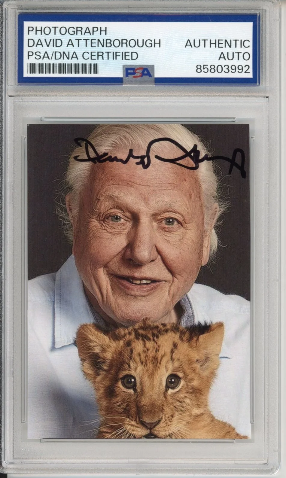 David Attenborough — DAVID ATTENBOROUGH SIGNED AUTOGRAPH PLANET EARTH BABY LION PICTURE PSA DNA COA