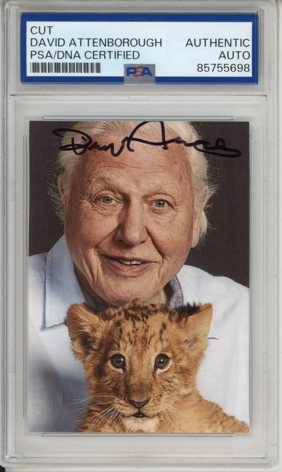 David Attenborough — DAVID ATTENBOROUGH SIGNED AUTOGRAPH PLANET EARTH BABY LION PHOTO PSA DNA COA