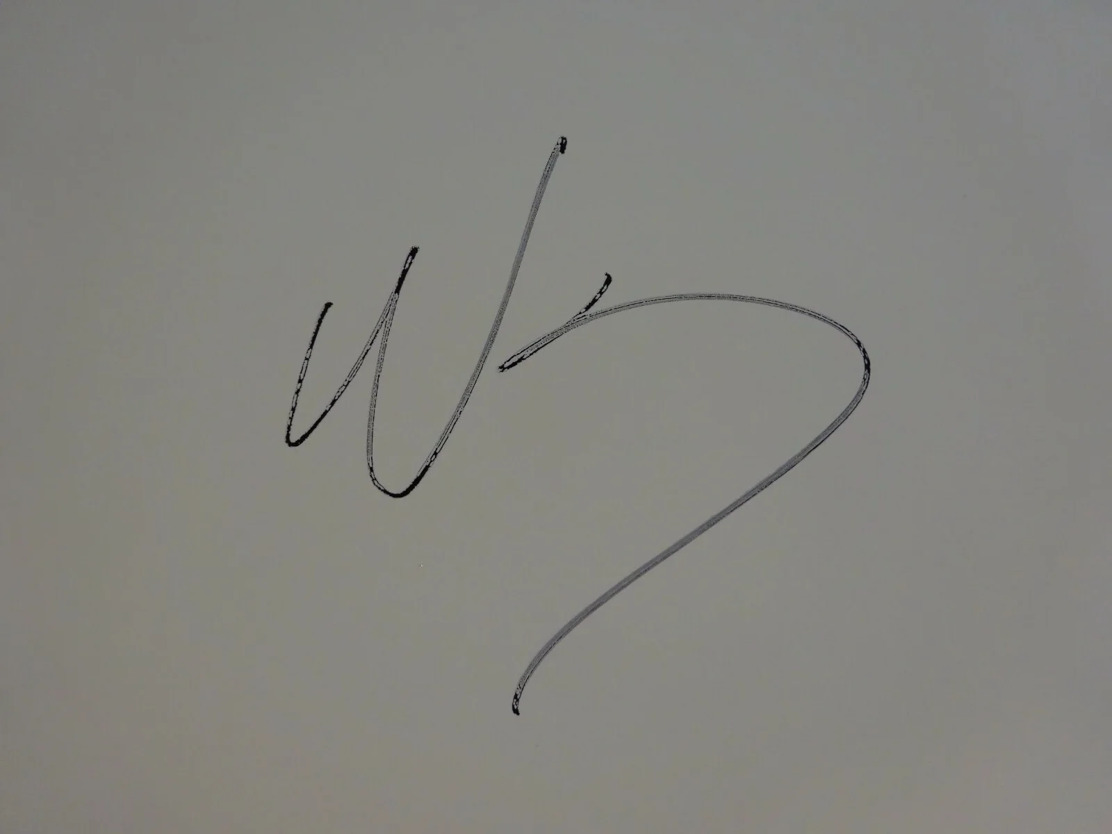 Signed WESLEY SCHULTZ Autographed VIGNETTES Test Pressing ALBUM Beckett BAS COA, image 4
