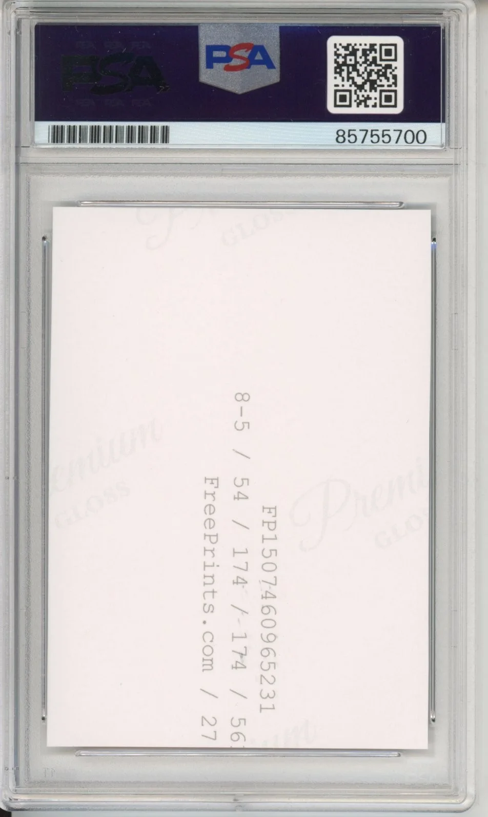 David Attenborough — DAVID ATTENBOROUGH SIGNED AUTOGRAPH PLANET EARTH LION PHOTOGRAPH PSA DNA COA, изображение 2