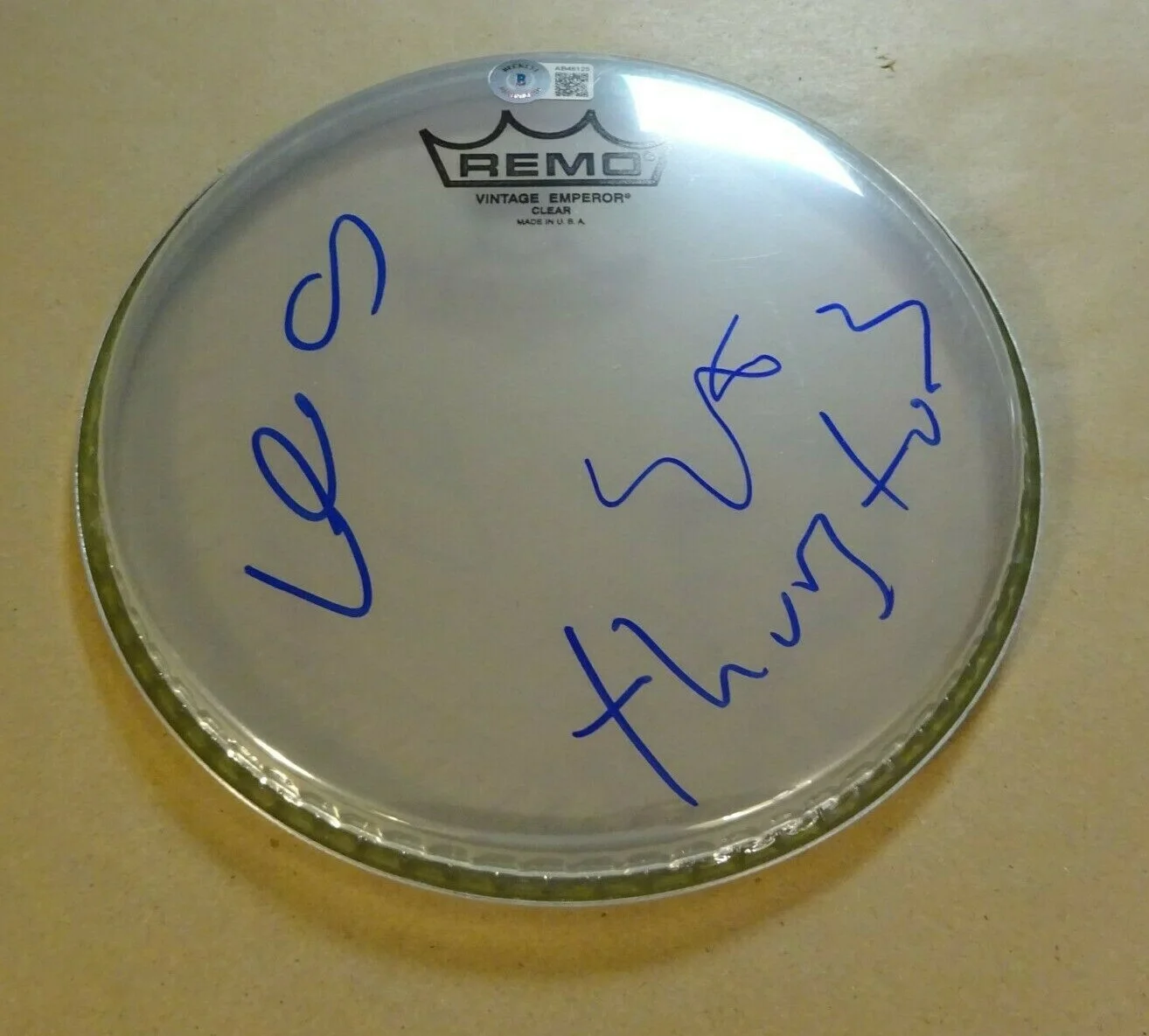 SONIC YOUTH Autographed Drum Head Signed By 3 Moore Shelley Ranaldo BECKETT LOA, изображение 2