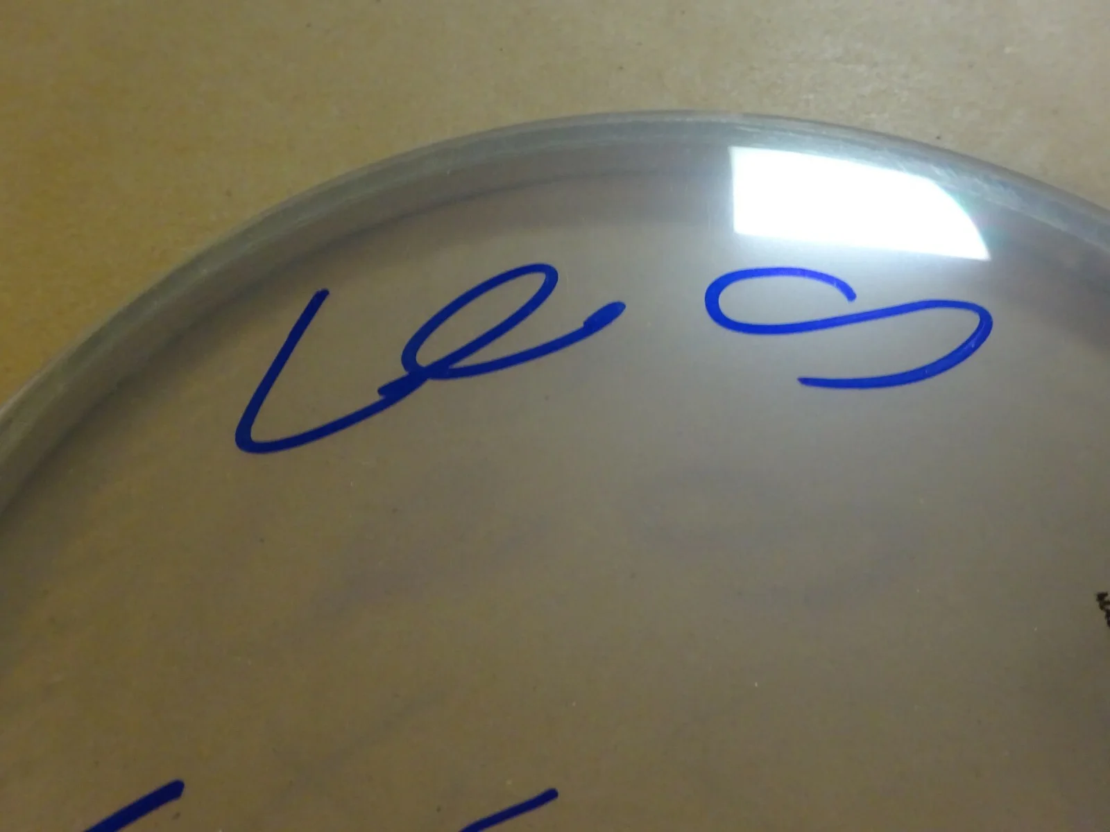 SONIC YOUTH Autographed Drum Head Signed By 3 Moore Shelley Ranaldo BECKETT LOA, изображение 5