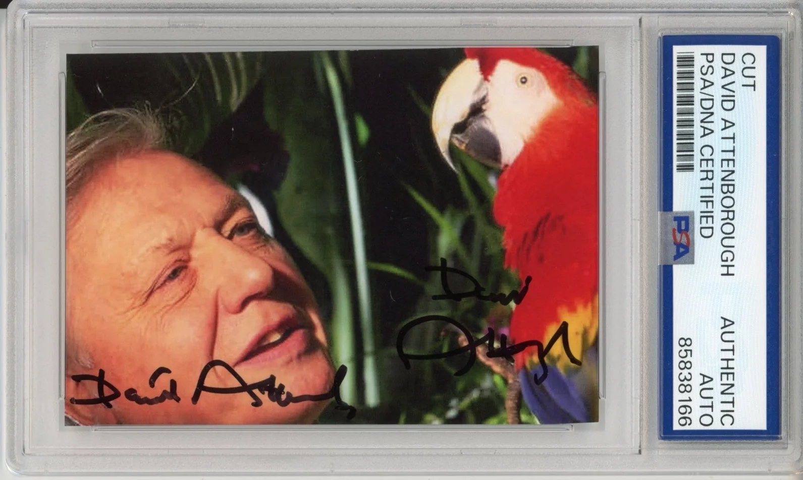 David Attenborough — DAVID ATTENBOROUGH SIGNED 2X AUTOGRAPH PLANET EARTH PHOTOGRAPH PSA DNA COA RARE