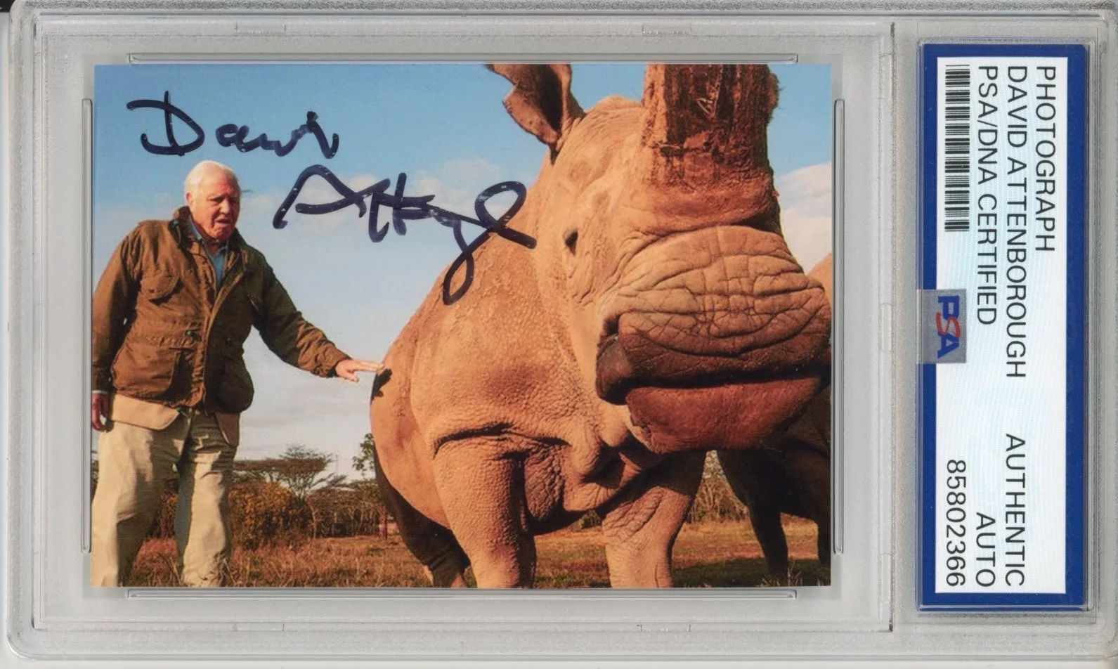 David Attenborough — DAVID ATTENBOROUGH SIGNED AUTOGRAPH RHINO RHINOCEROS PHOTOGRAPH PSA DNA COA AUTO