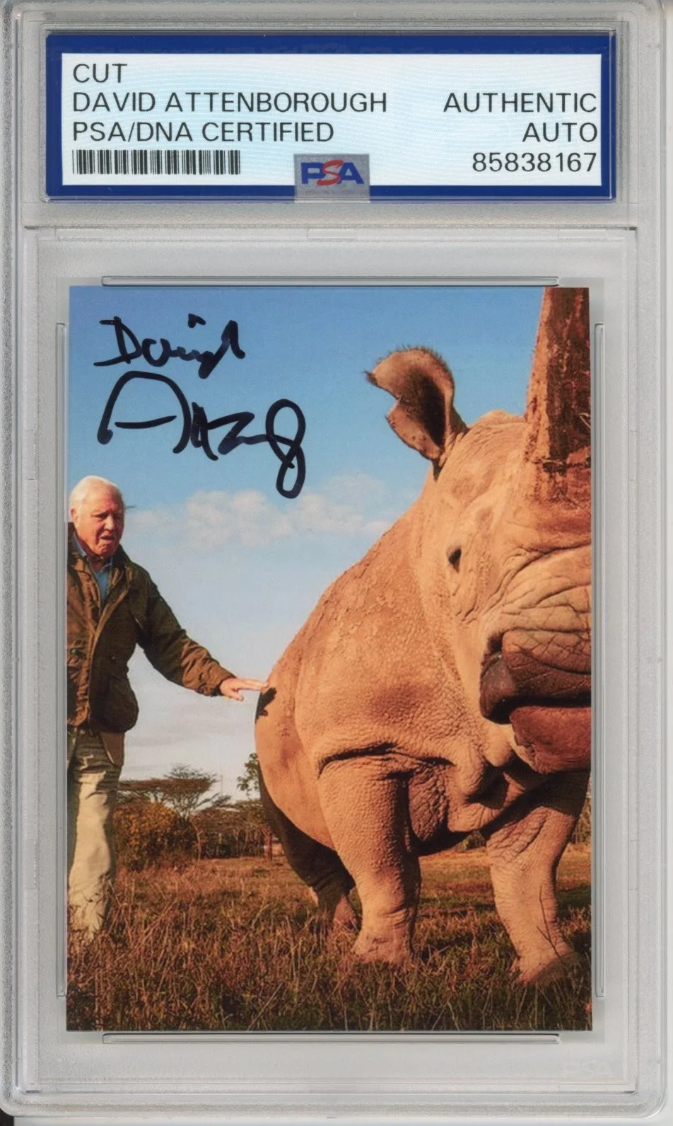 David Attenborough — DAVID ATTENBOROUGH SIGNED AUTOGRAPH RHINO PICTURE PHOTO PSA DNA COA AUTO