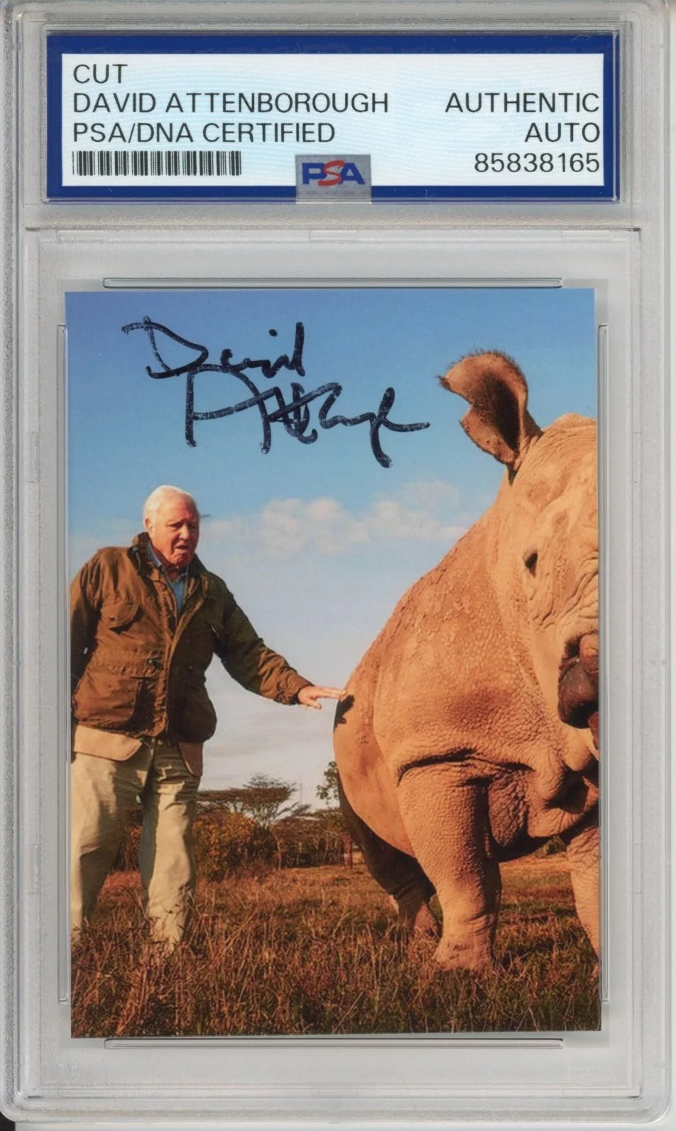 David Attenborough — DAVID ATTENBOROUGH SIGNED AUTOGRAPH RHINOCEROS PICTURE PHOTO PSA DNA COA AUTO