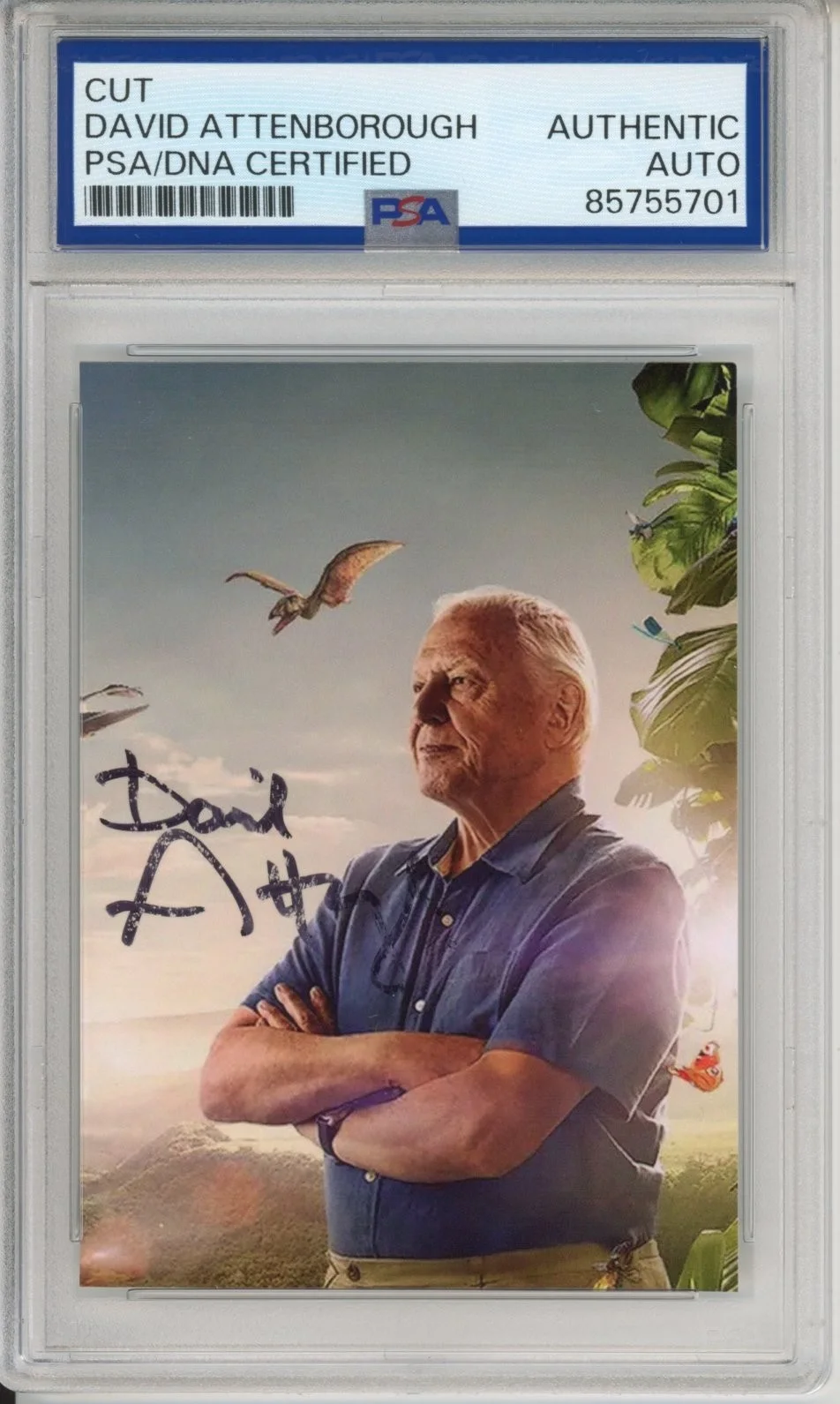 David Attenborough — DAVID ATTENBOROUGH SIGNED AUTOGRAPH LIFE OF BIRDS PICTURE PHOTO PSA DNA COA AUTO