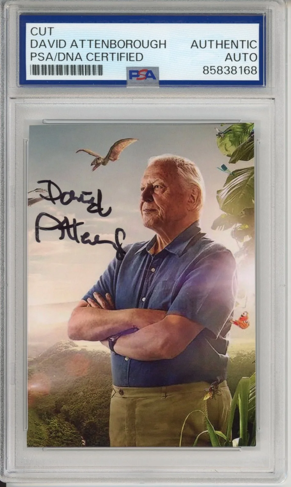 David Attenborough — DAVID ATTENBOROUGH SIGNED AUTOGRAPHED LIFE OF BIRDS PHOTOGRAPH PHOTO PSA DNA COA