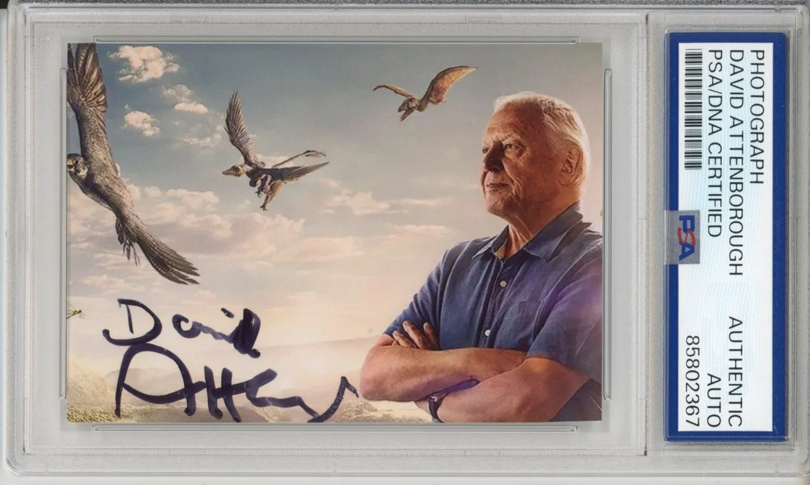 David Attenborough — DAVID ATTENBOROUGH SIGNED AUTOGRAPH LIFE OF BIRDS PHOTOGRAPH PICTURE PSA DNA COA
