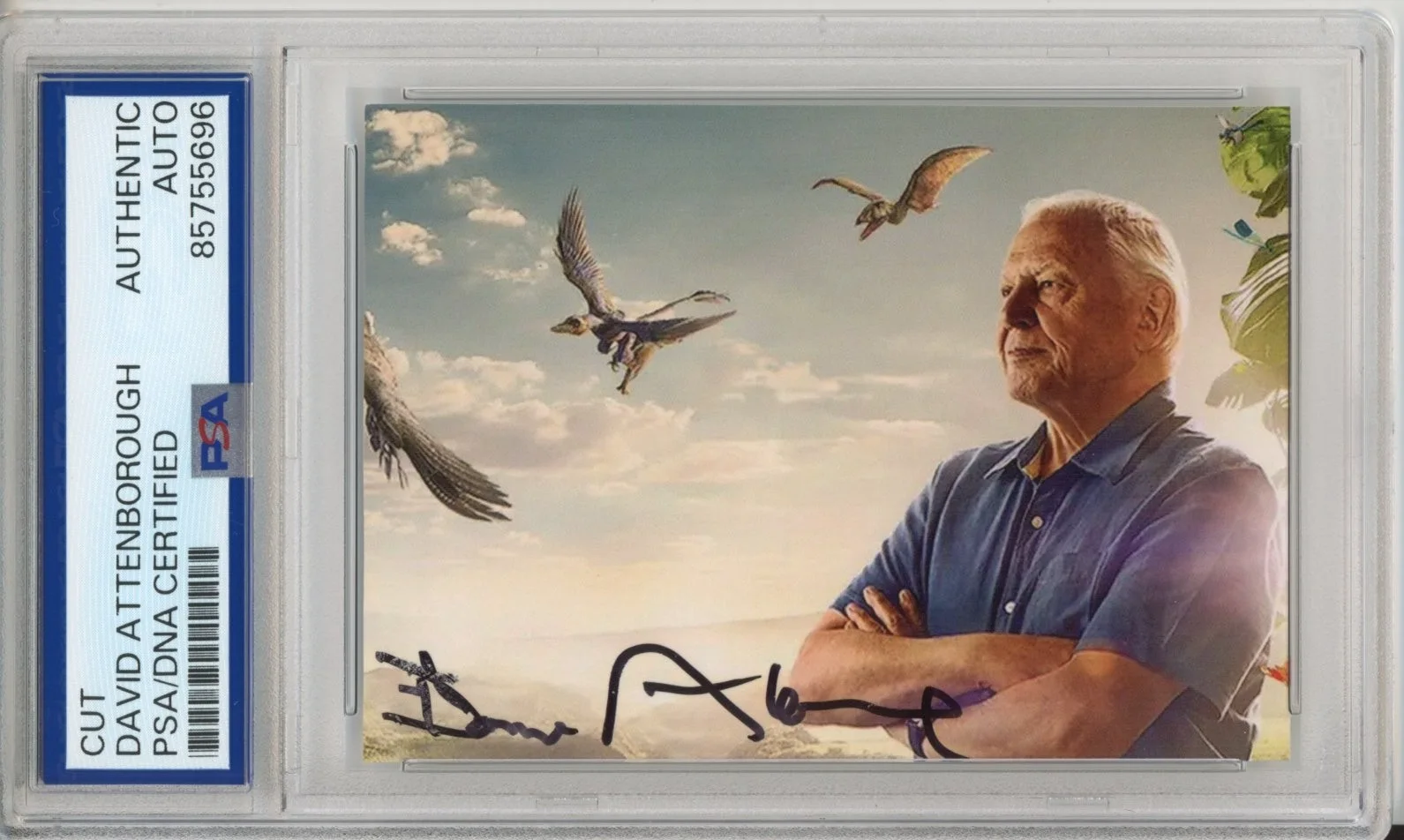 David Attenborough — DAVID ATTENBOROUGH SIGNED AUTOGRAPH LIFE OF BIRDS PHOTOGRAPH PHOTO PSA DNA COA