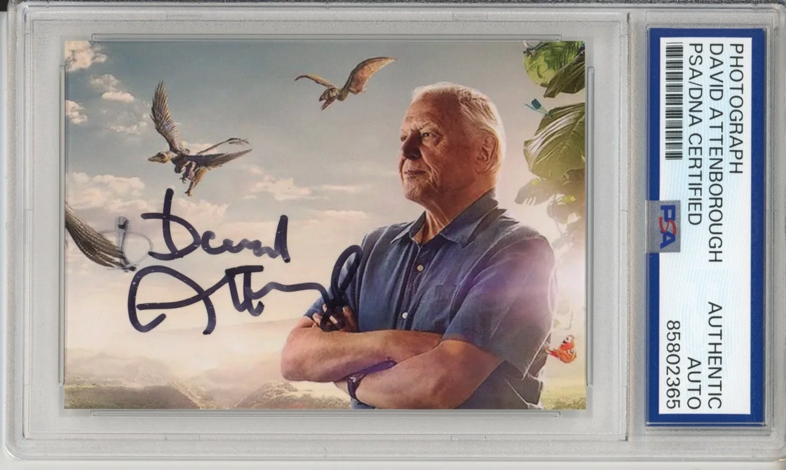 David Attenborough — DAVID ATTENBOROUGH SIGNED AUTOGRAPH THE LIFE OF BIRDS PHOTO PICTURE PSA DNA COA