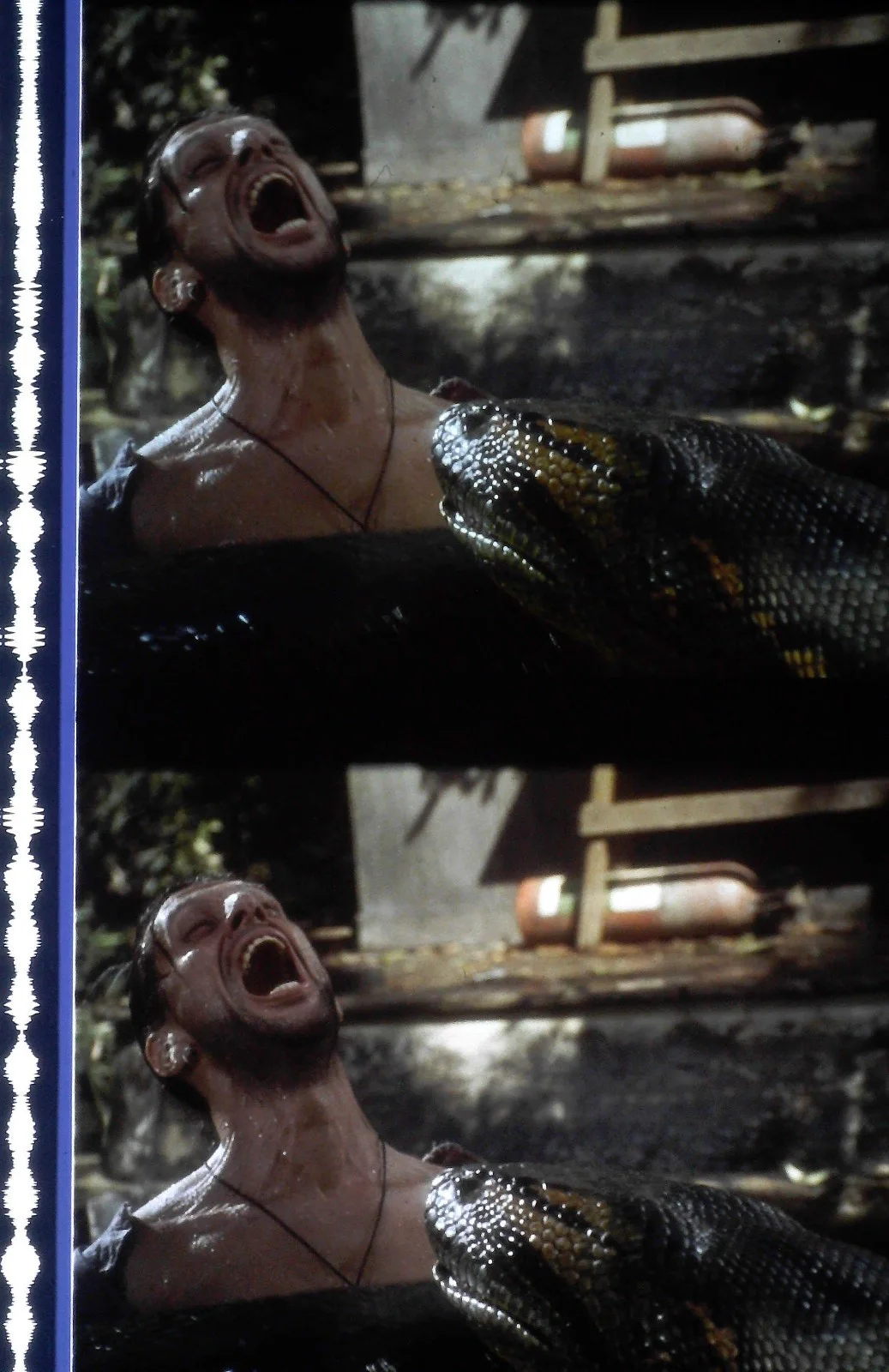 Anaconda Film Cells Strips - 5 Strips of 5 Cells FREE P&P, изображение 3