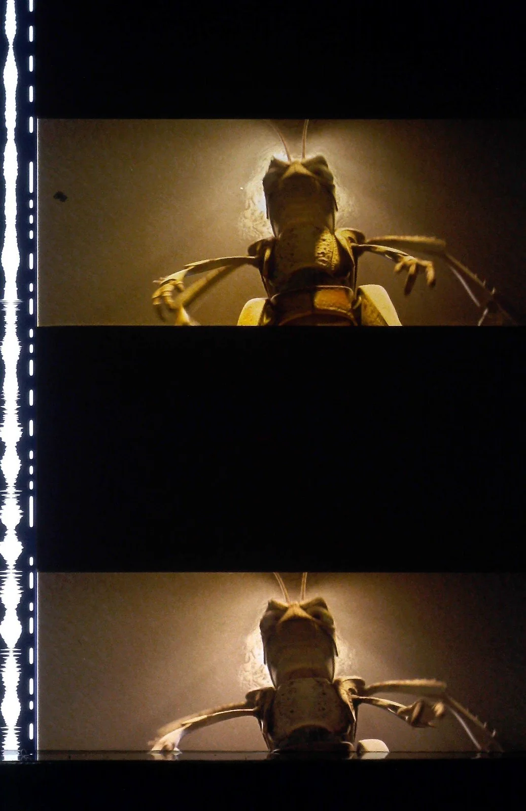 A Bugs Life Film Cells Strips - 5 Strips of 5 Cells FREE P&P, изображение 2