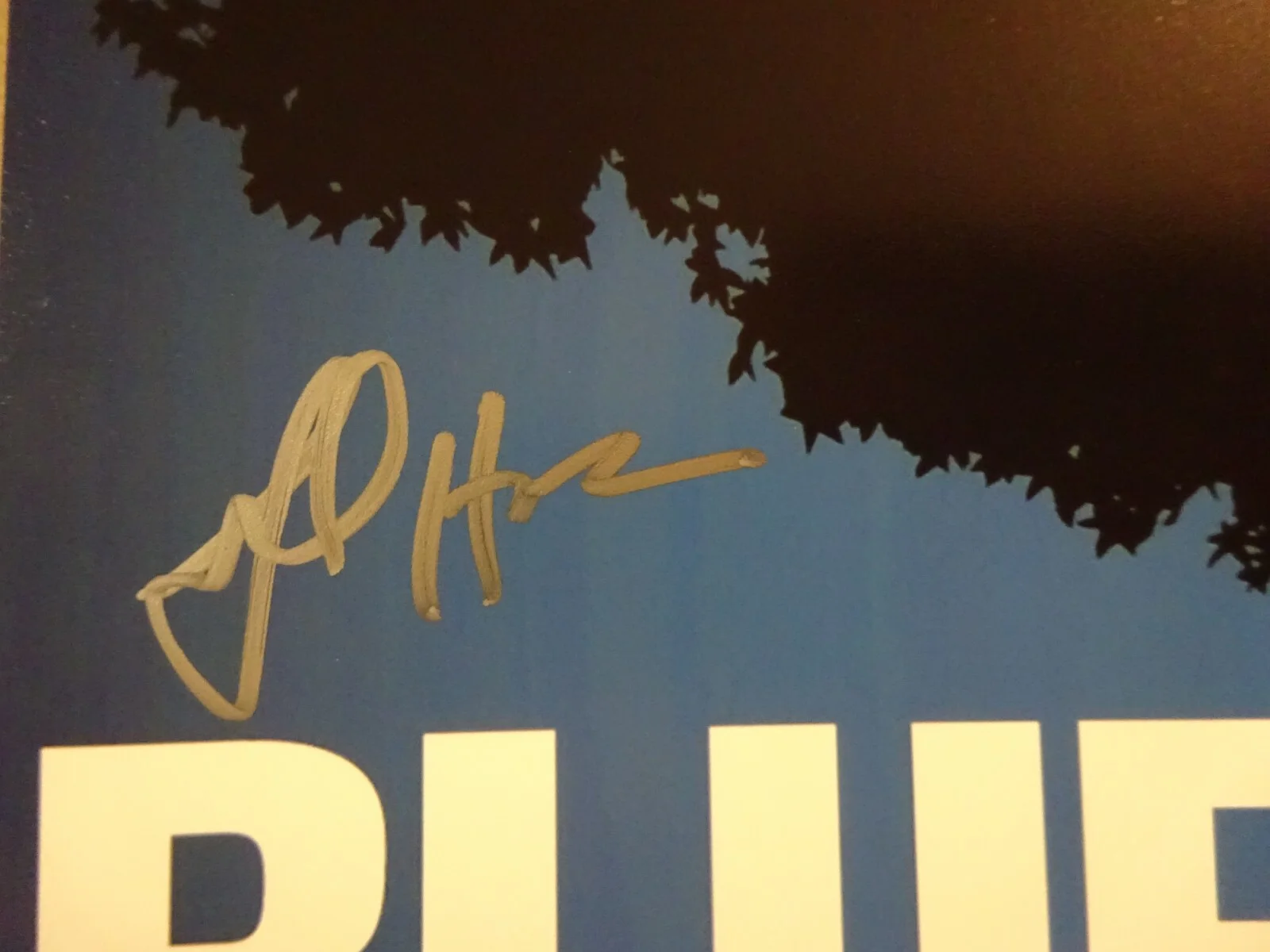 Abigail Hawk — Signed ABIGAIL HAWK Autographed BLUE BLOODS 12"x18" Photo BECKETT BAS COA, изображение 4