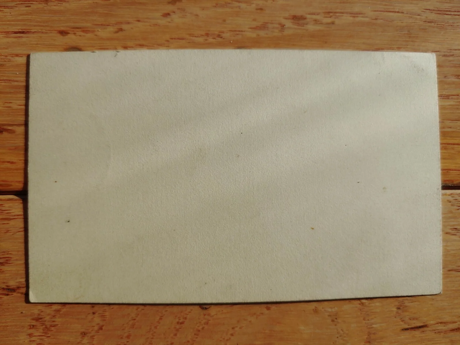 Autograph EMMA ABBOTT American Opera Soprano Singer 1850-1891 “Conquer or Die”, изображение 2