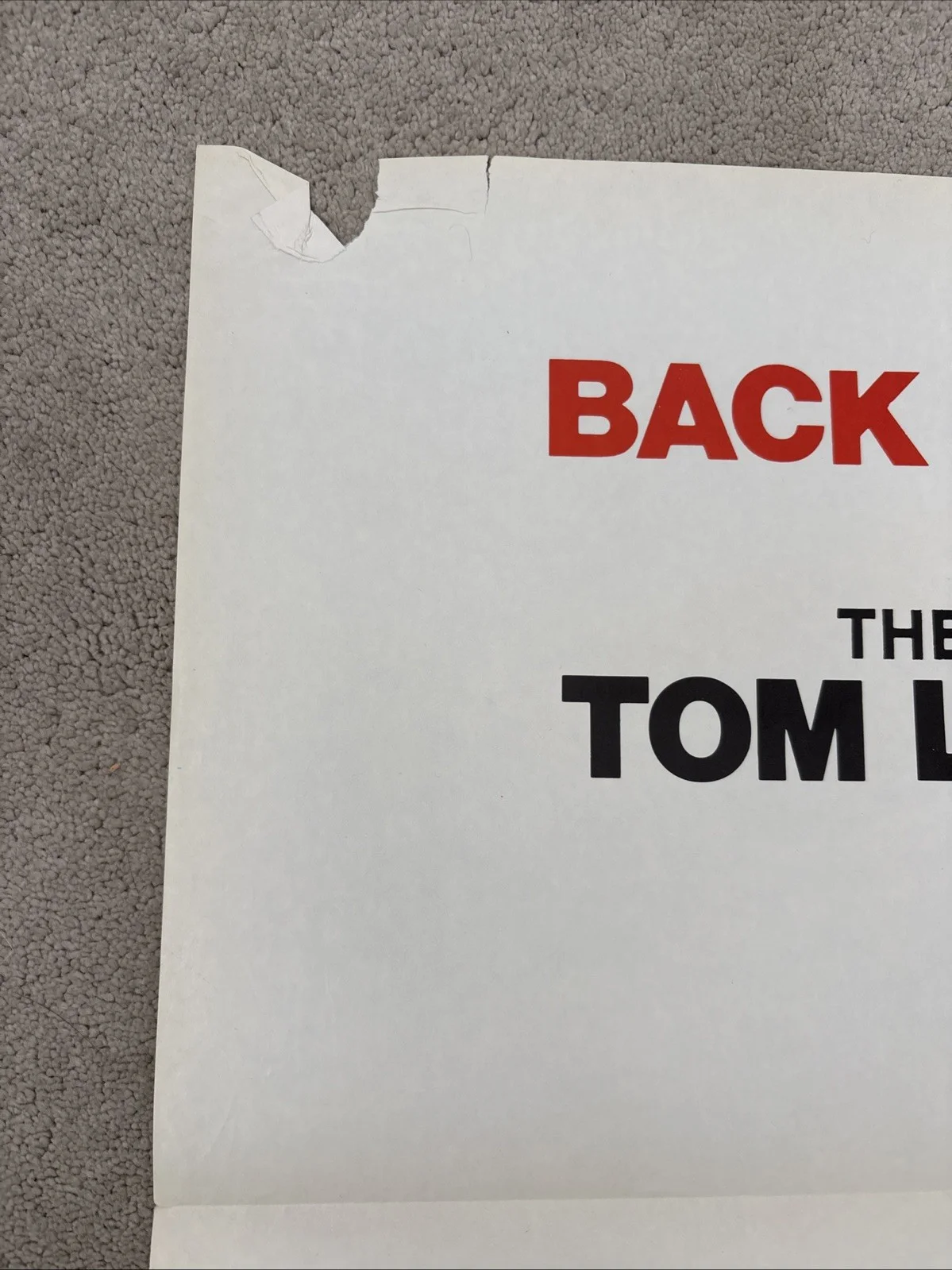 Born Losers (1974 RR) Original US One Sheet Movie Poster, изображение 2