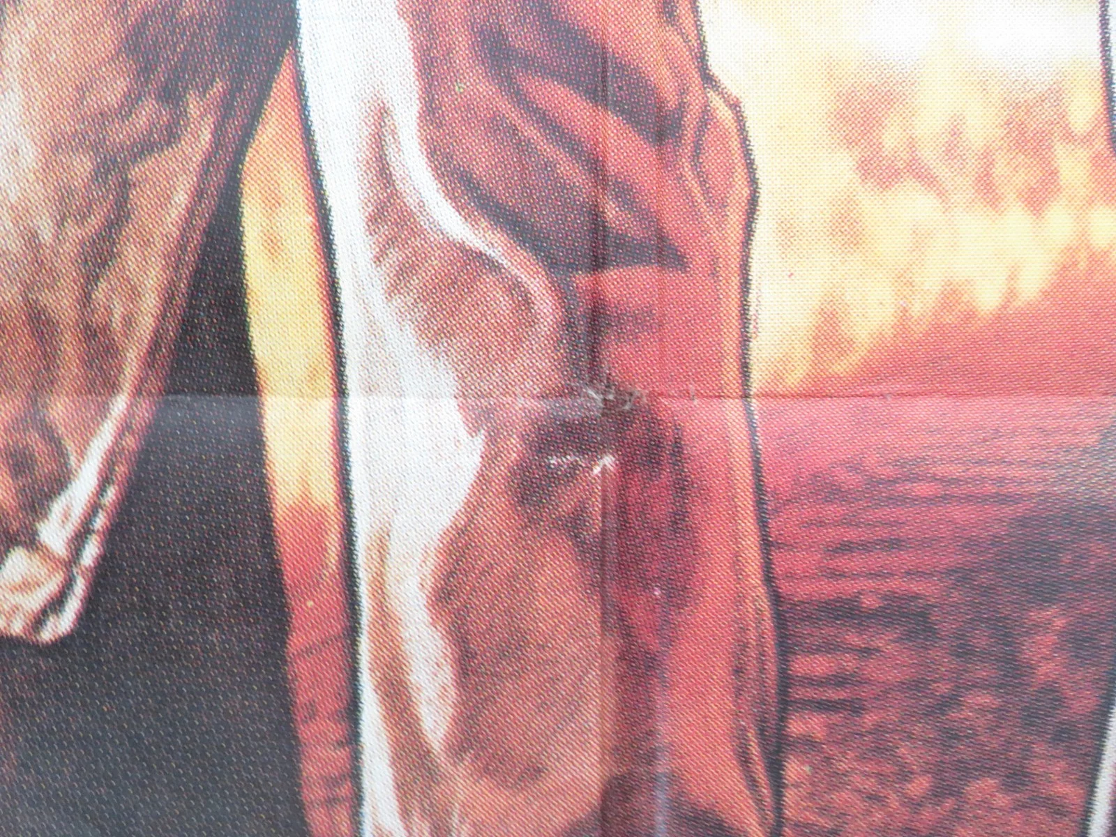 Back to the Future Part III Lebanese Poster Folded Michael J. Fox 1990, image 4