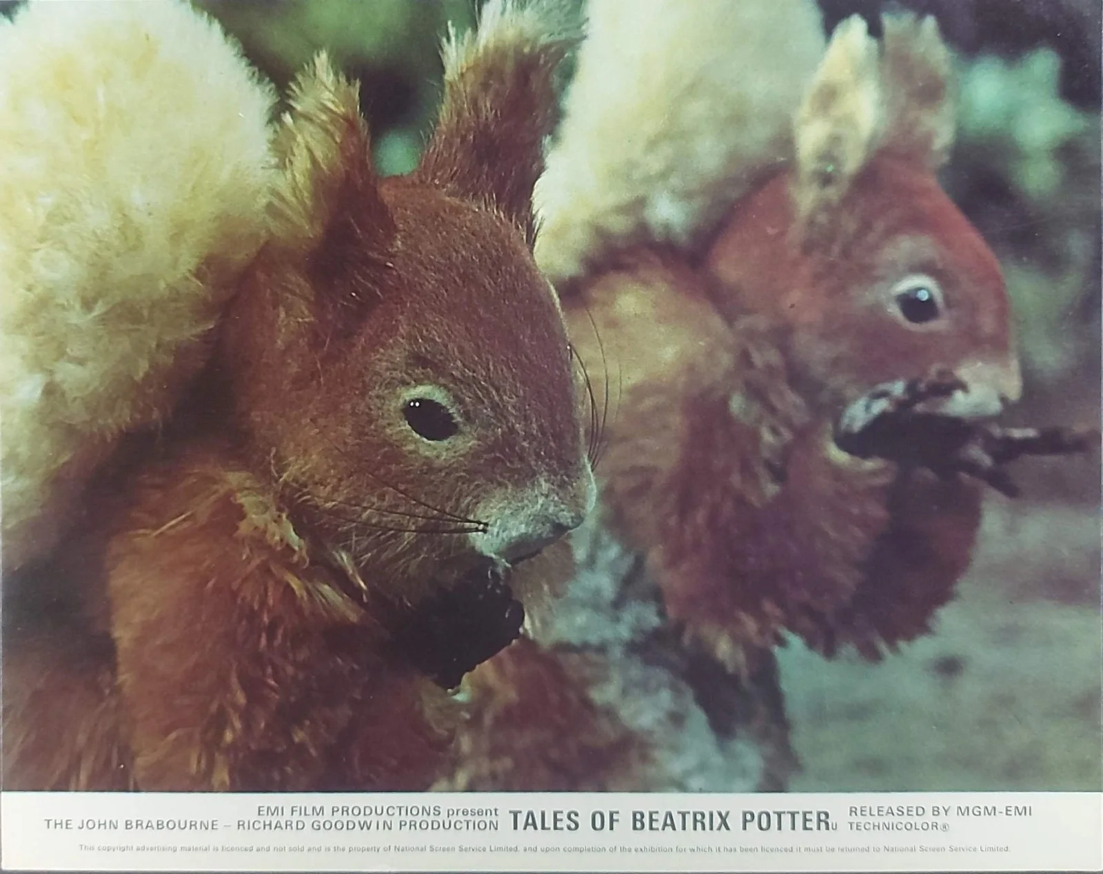 TALES OF BEATRIX POTTER ORIGINAL UK FOH LOBBY CARDS X 7 1971, изображение 3
