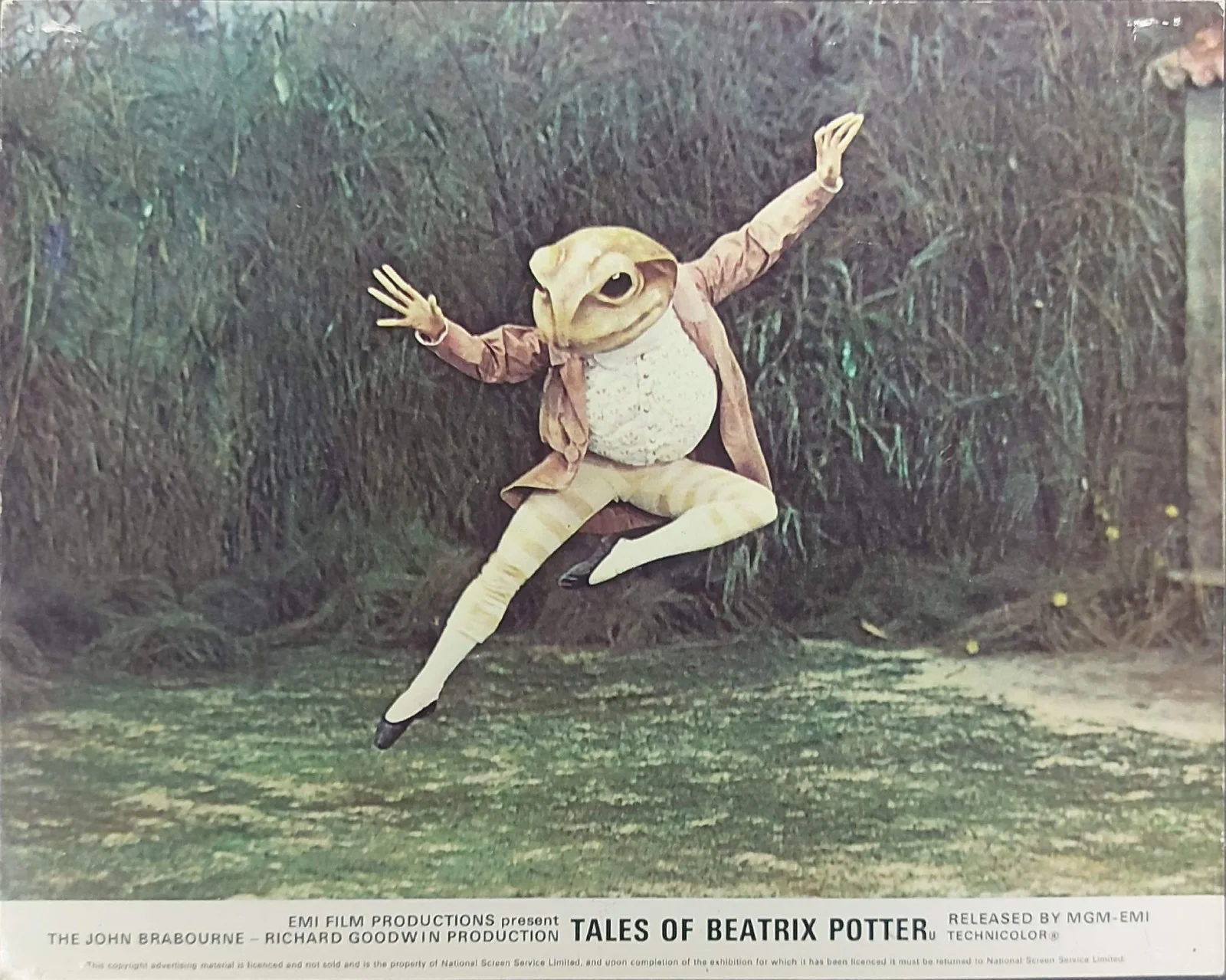TALES OF BEATRIX POTTER ORIGINAL UK FOH LOBBY CARDS X 7 1971, изображение 4