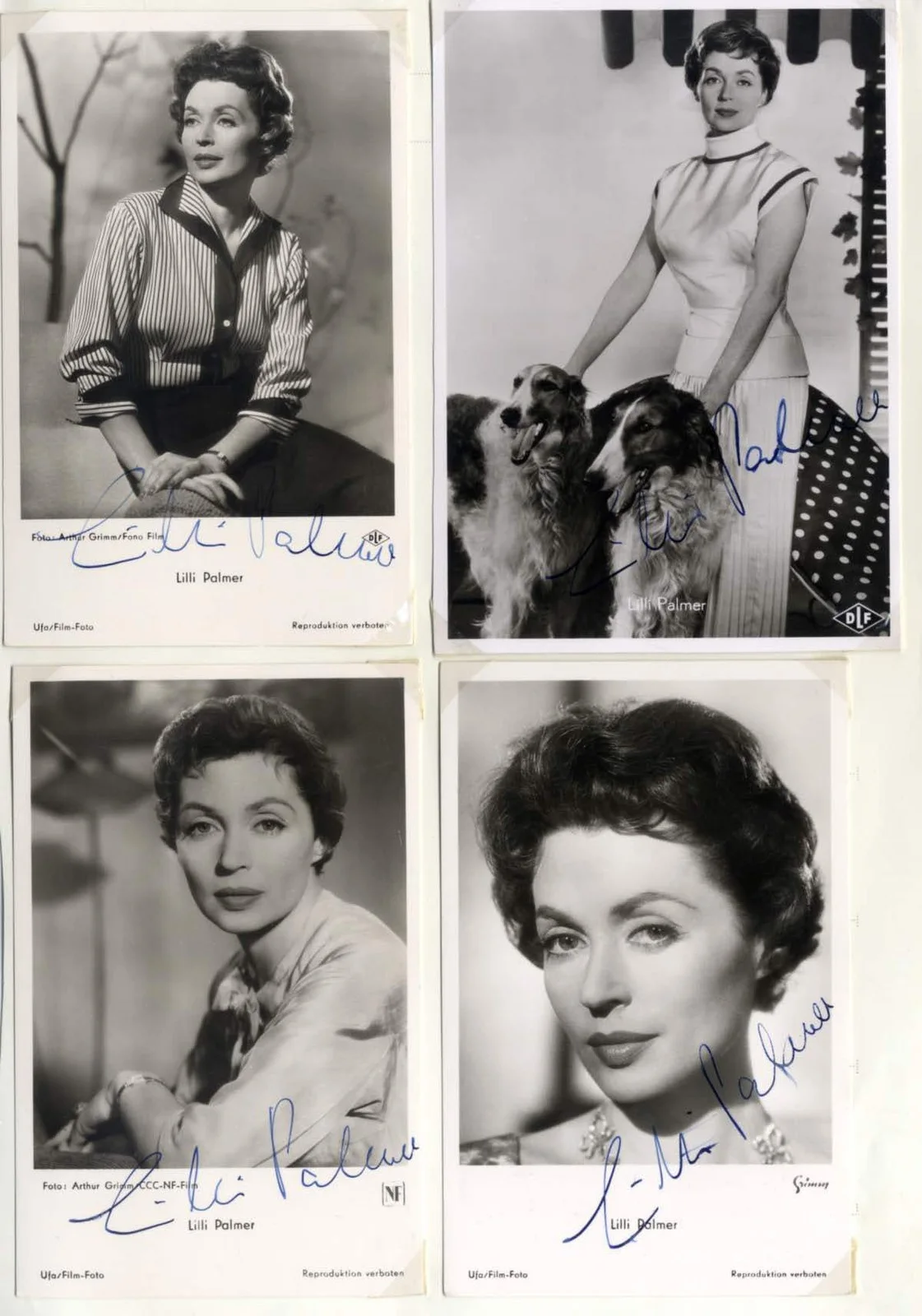 Lilli Palmer (+) GERMAN ACTRESS AND WRITER autographs, FIVE signed vintage photo, image 2