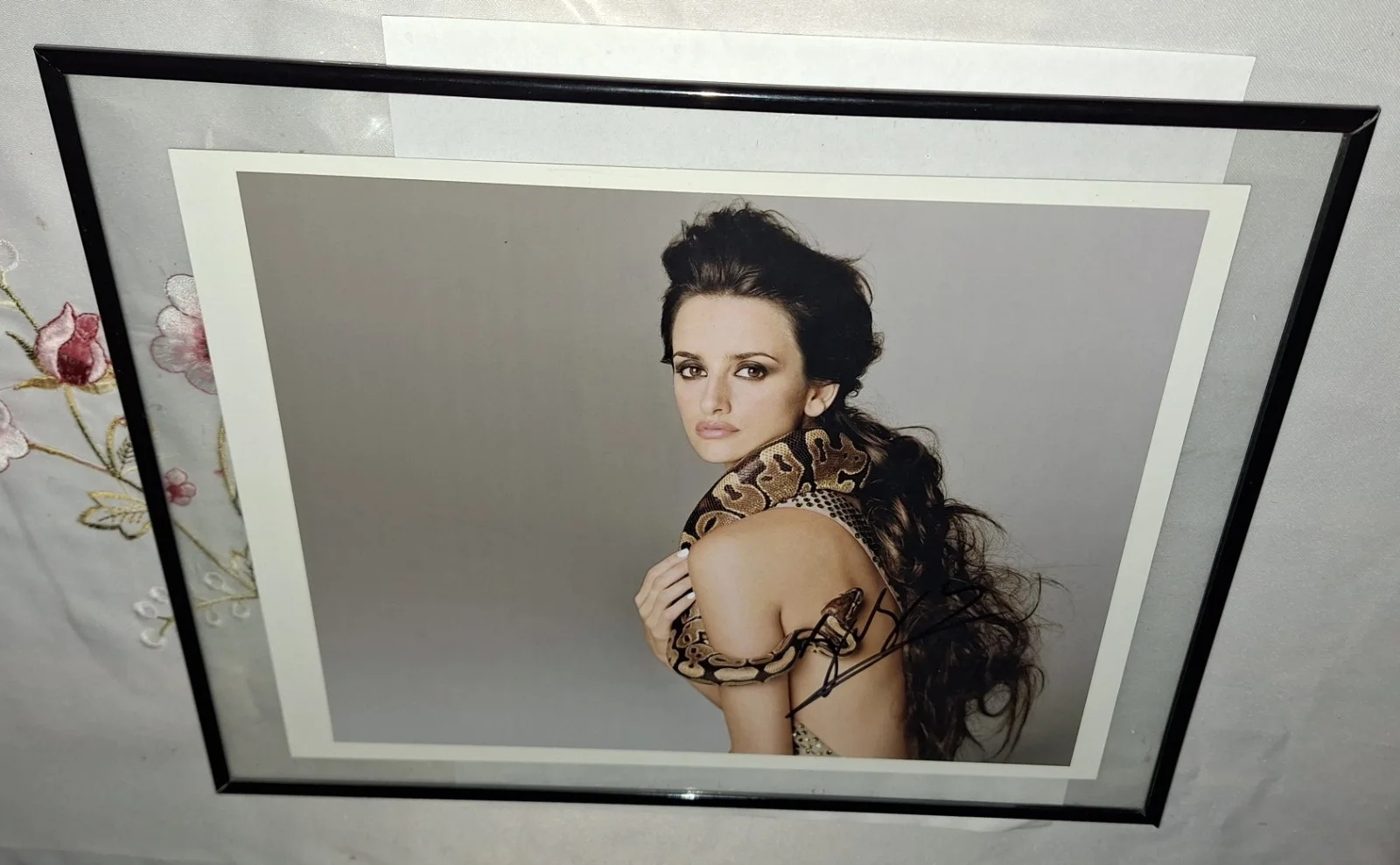 Penelope Cruz — Penelope Cruz Auto Picture PAAS Coa Framed 8 3/8" X 11" 10"×13" Frame, изображение 2