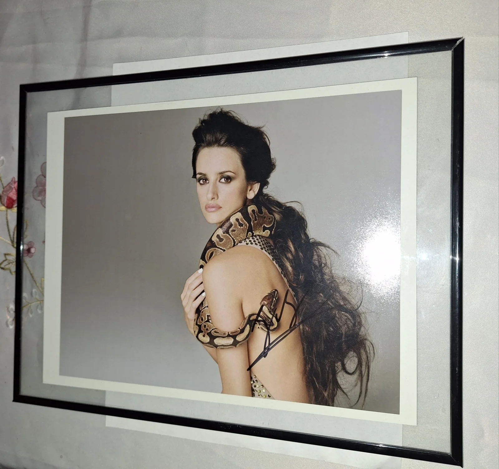 Penelope Cruz — Penelope Cruz Auto Picture PAAS Coa Framed 8 3/8" X 11" 10"×13" Frame, изображение 3