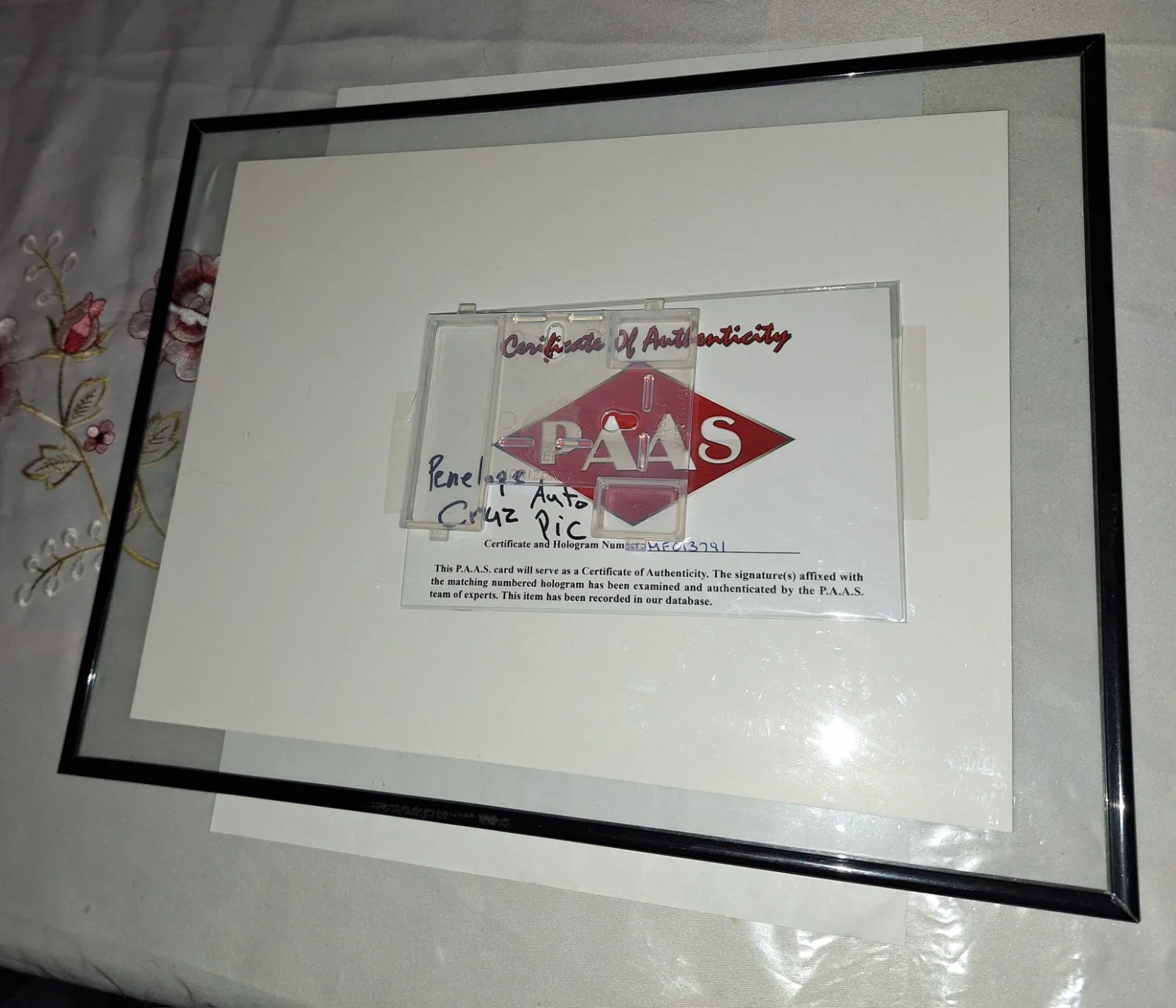 Penelope Cruz — Penelope Cruz Auto Picture PAAS Coa Framed 8 3/8" X 11" 10"×13" Frame, изображение 4