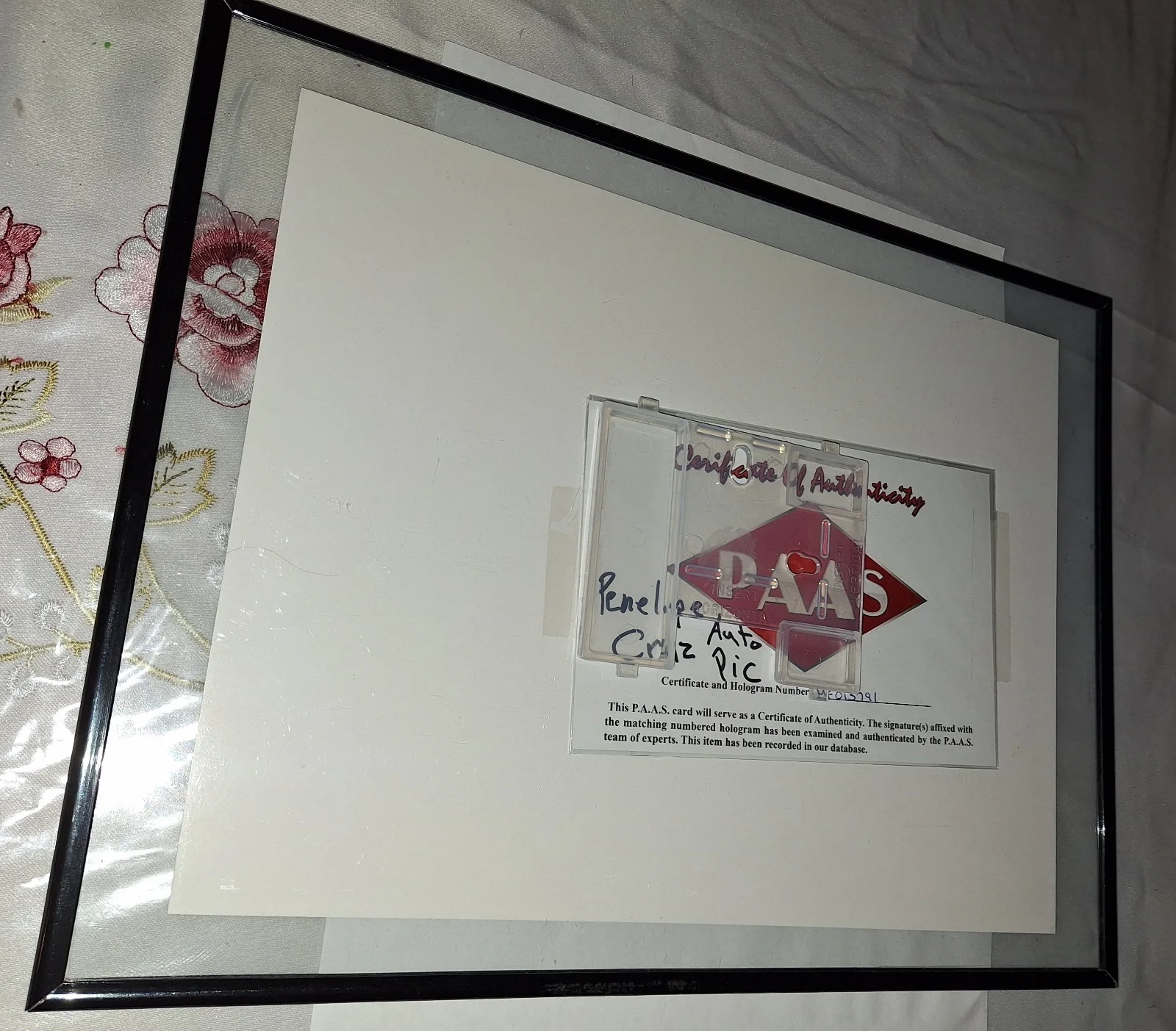 Penelope Cruz — Penelope Cruz Auto Picture PAAS Coa Framed 8 3/8" X 11" 10"×13" Frame, изображение 5