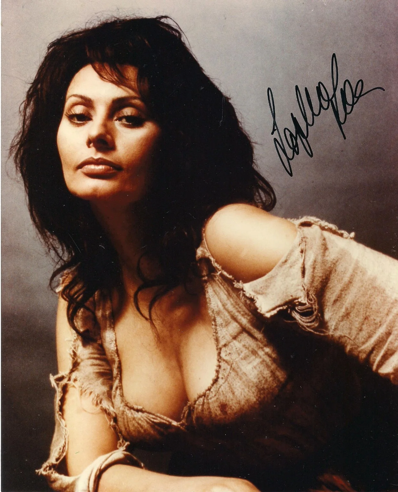 Sophia Loren — SOPHIA LOREN autograph SIGNED 8X10 Photo busty portrait authentic UACC COA