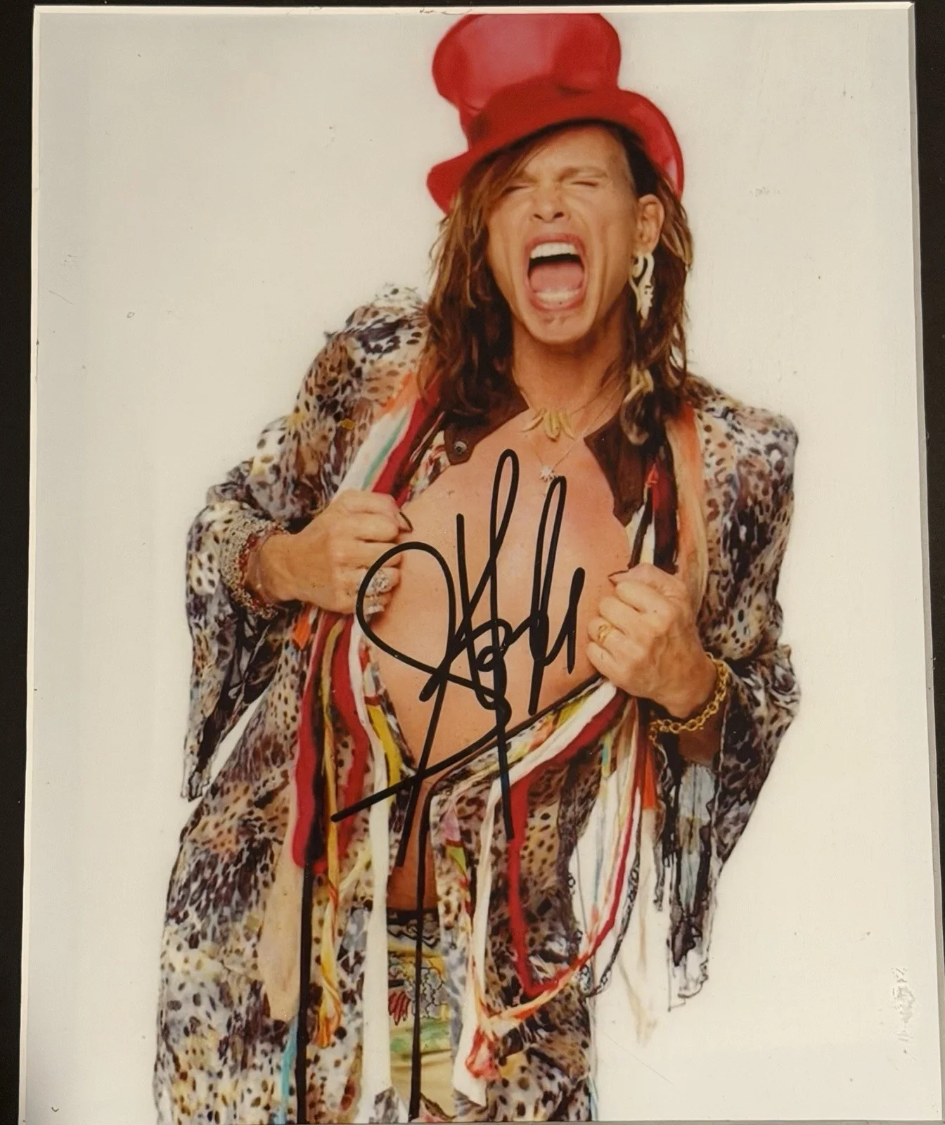 Aerosmith Steven Tyler Signed Photo Autograph Twice Framed Rock Memorabilia, изображение 2
