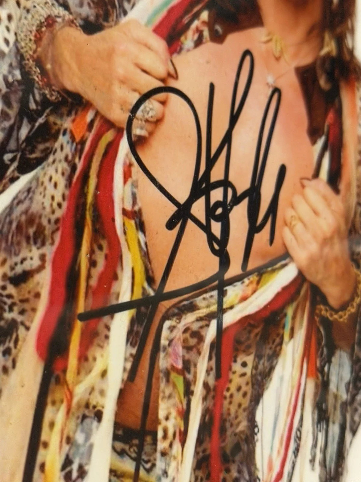 Aerosmith Steven Tyler Signed Photo Autograph Twice Framed Rock Memorabilia, изображение 3