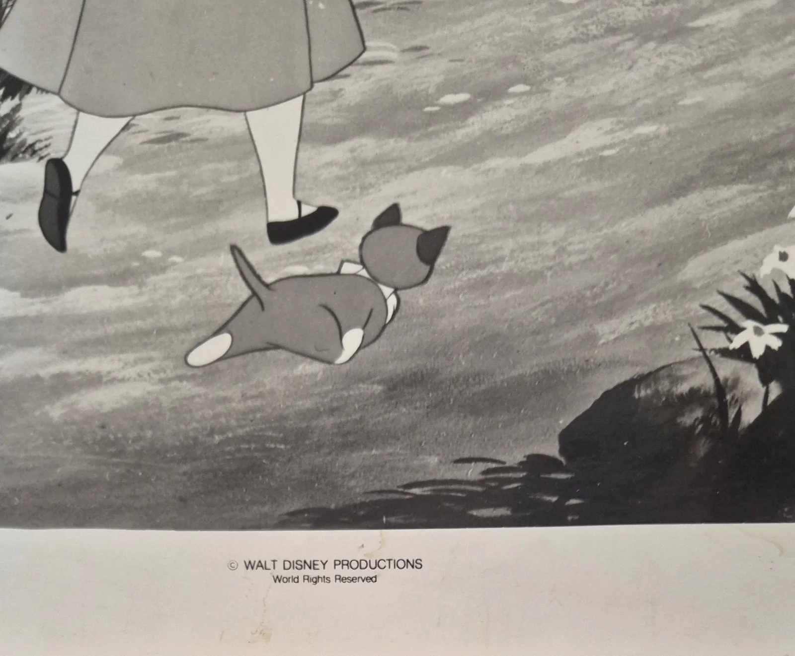 1951 ALICE IN WONDERLAND - Press Photo / Lobby Card 10" x 8" - Walt Disney #8, изображение 2