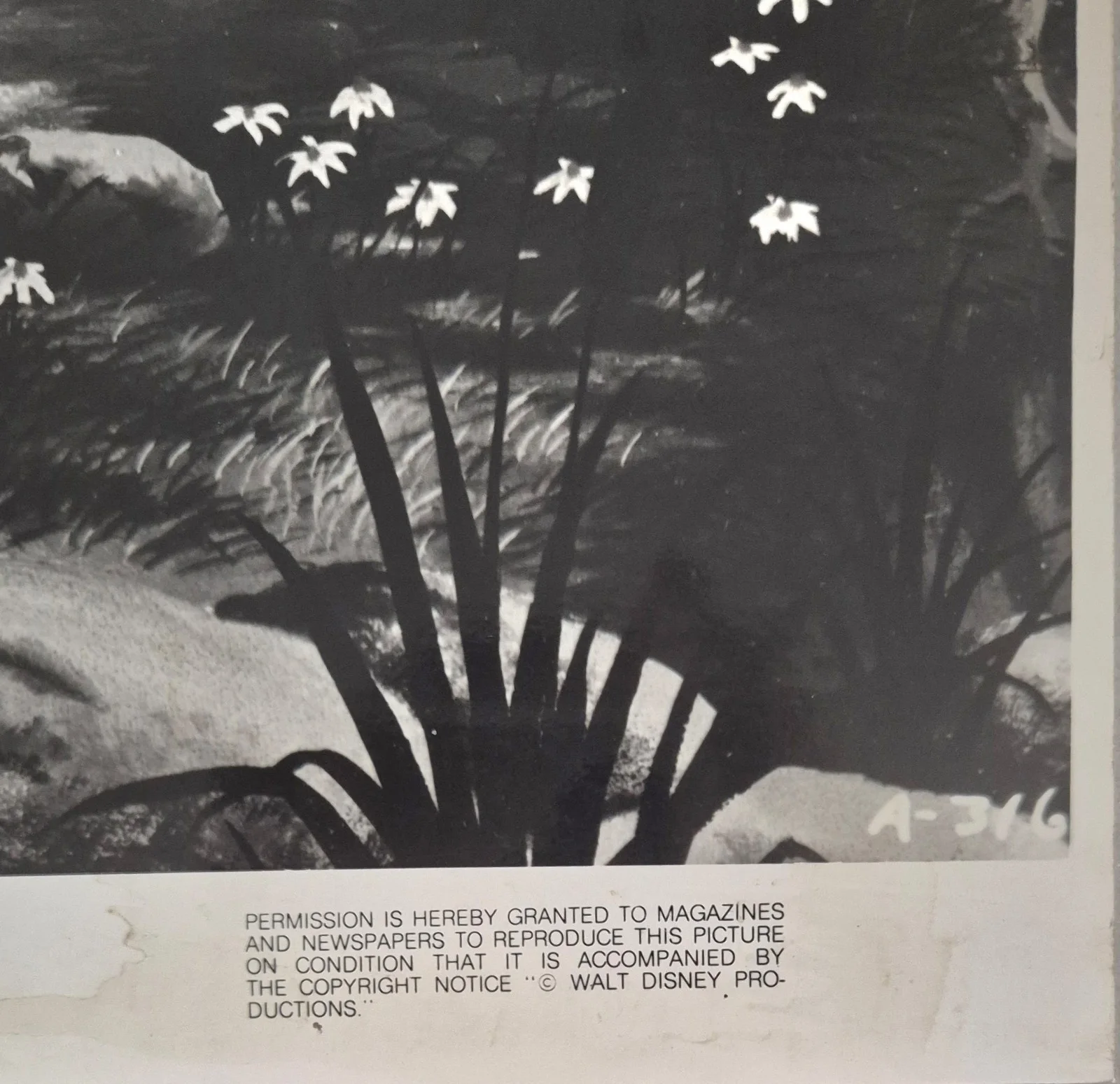 1951 ALICE IN WONDERLAND - Press Photo / Lobby Card 10" x 8" - Walt Disney #8, изображение 3