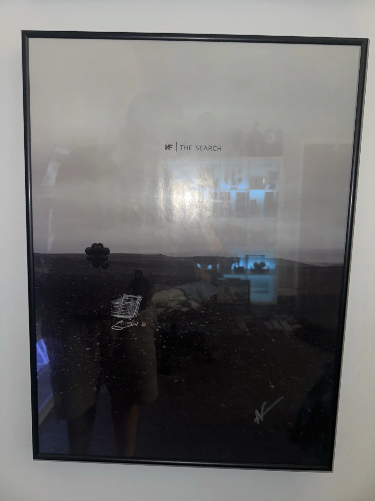 NF The Search (Signed) Professionally Framed Album Cover, изображение 2