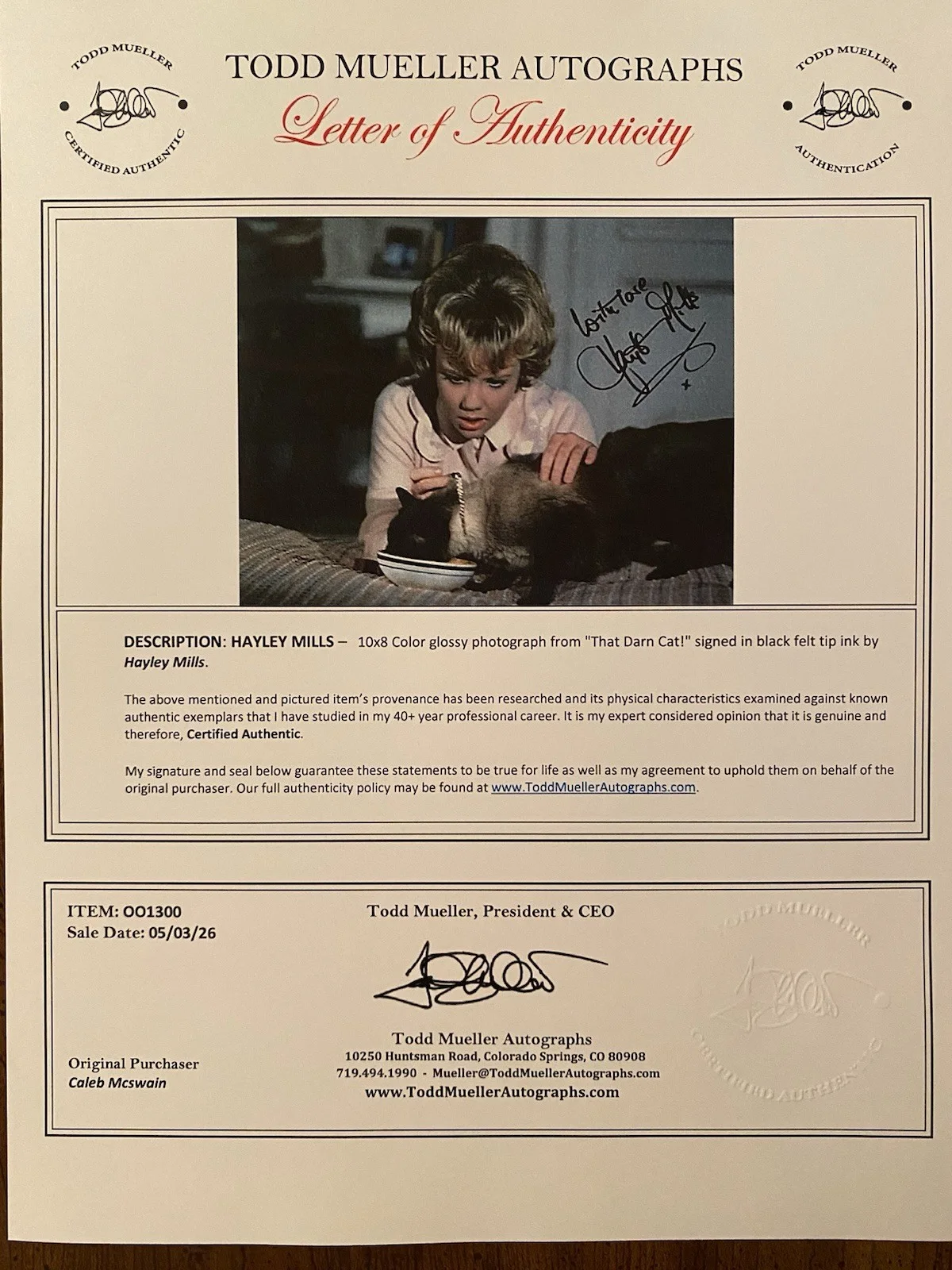 Hayley Mills — Hayley Mills Signed Autographed Photo With COA That Darn Cat Disney, изображение 4