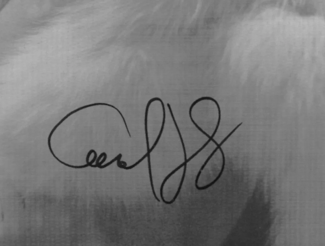CAROL LYNLEY — CAROL LYNLEY HAND SIGNED PHOTO 8x10 "HARLOW", изображение 2