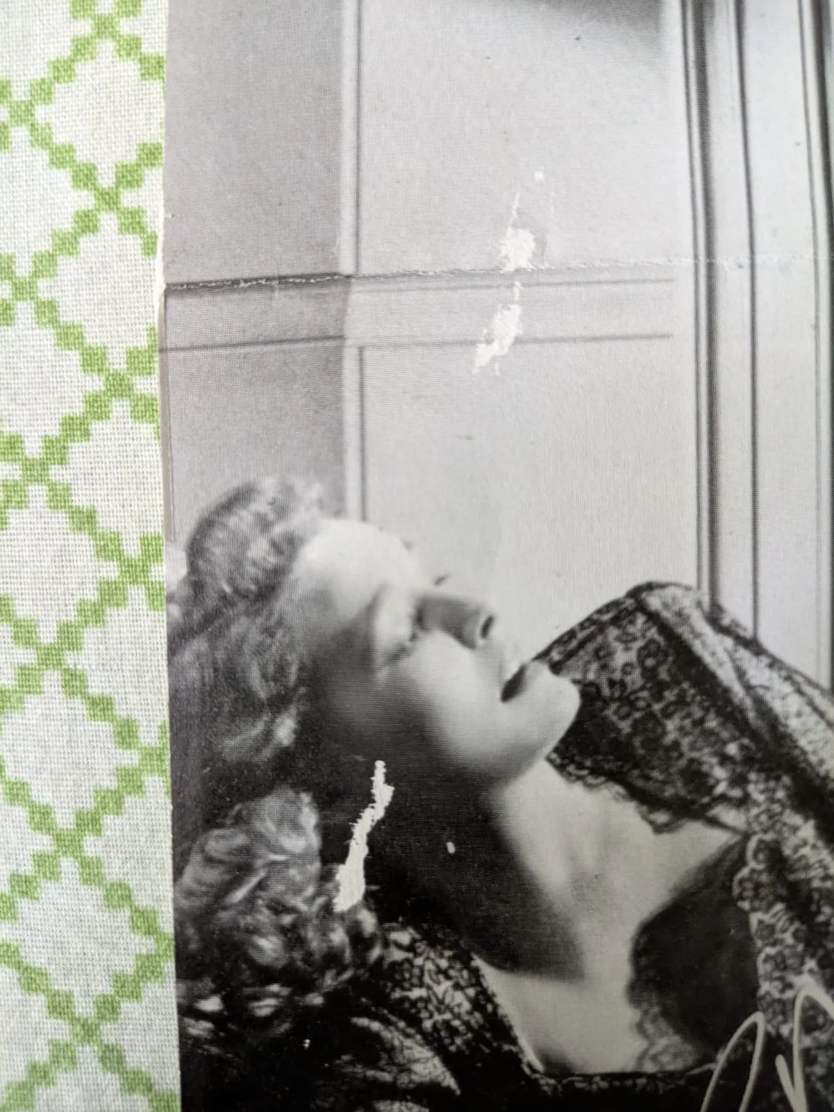 Patricia Neal — Patricia Neal Signed Clipped Page The Fountainhead Gary Cooper Oscar Actress, image 3